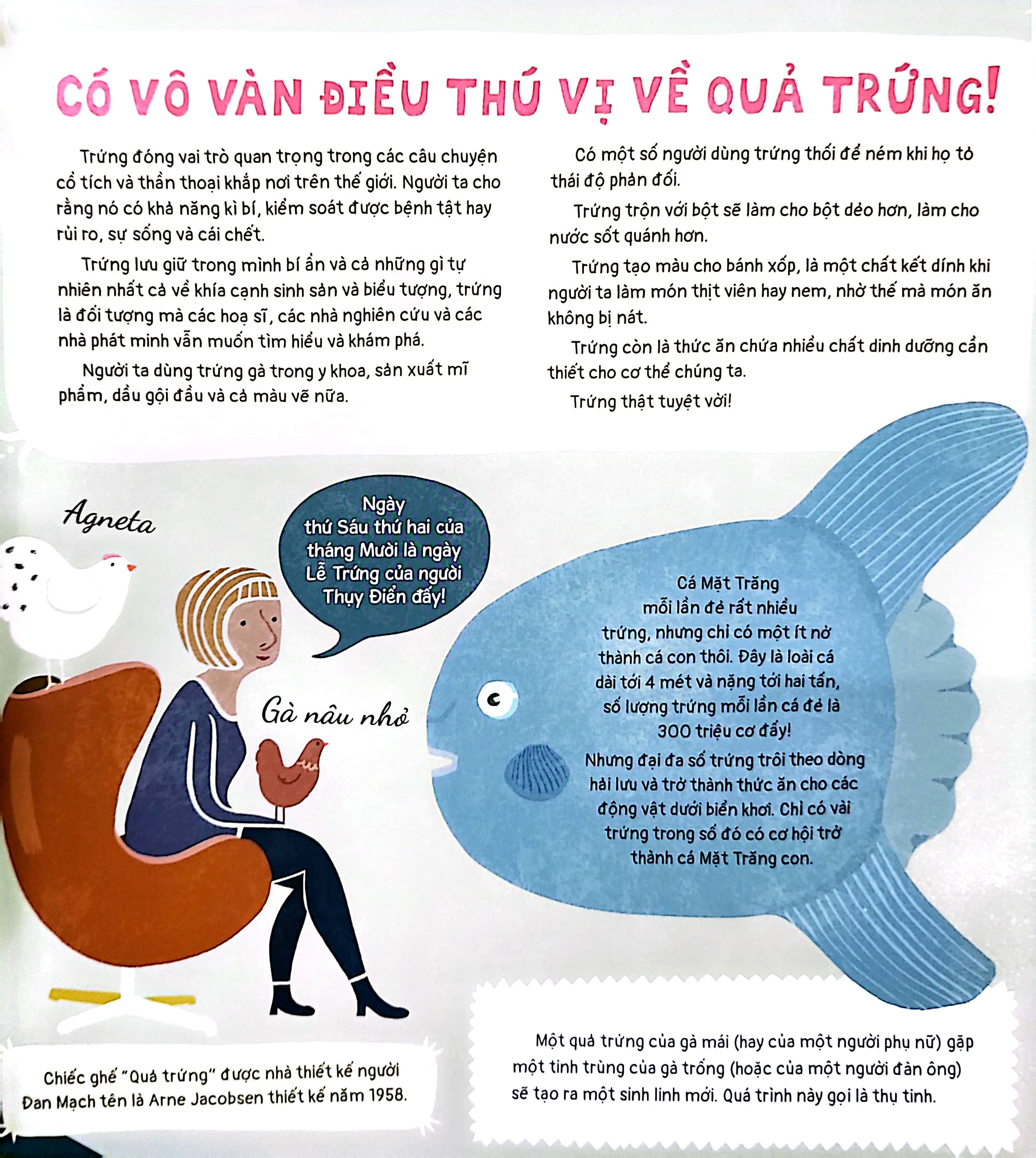 quả trứng và hơn thế nữa - dưới góc nhìn sinh học và văn hóa, kèm theo các trò chơi và thực hành thú vị - Ảnh 4