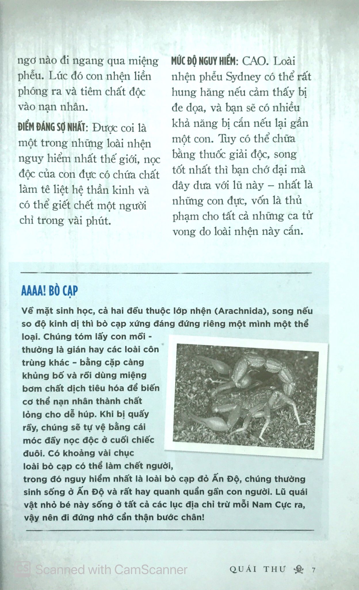 quái thú - Ảnh 10