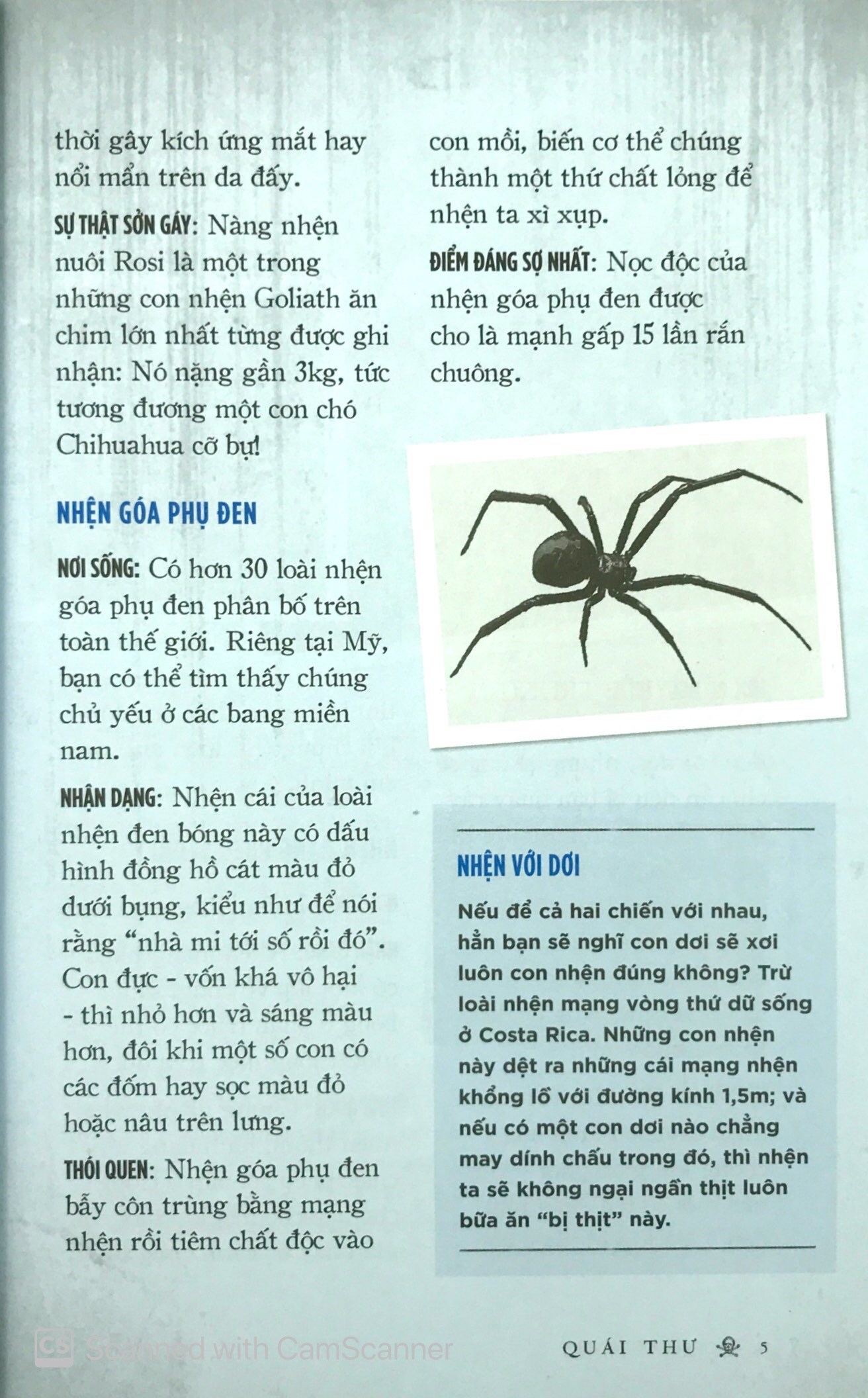 quái thú - Ảnh 8