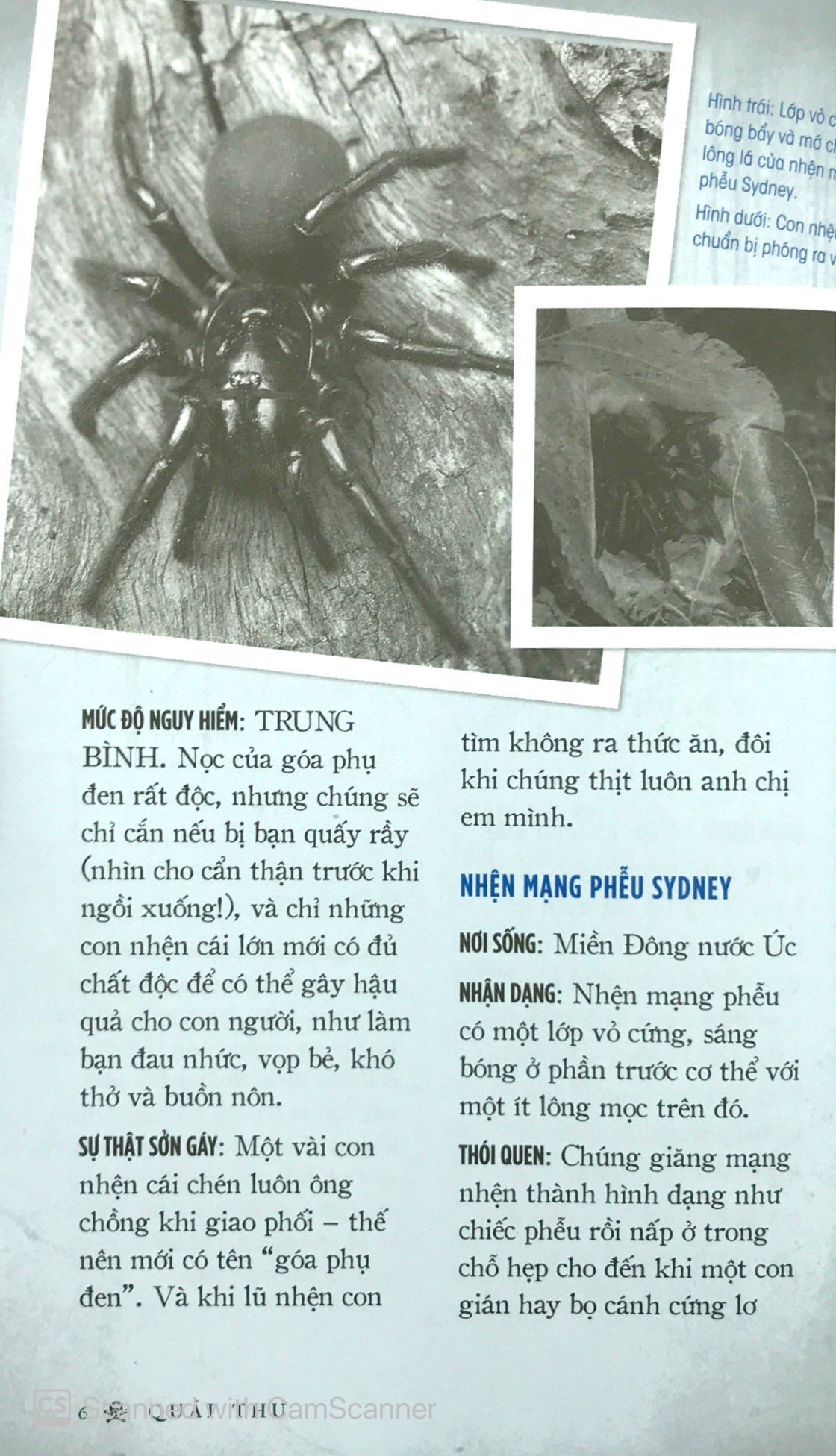 quái thú - Ảnh 9