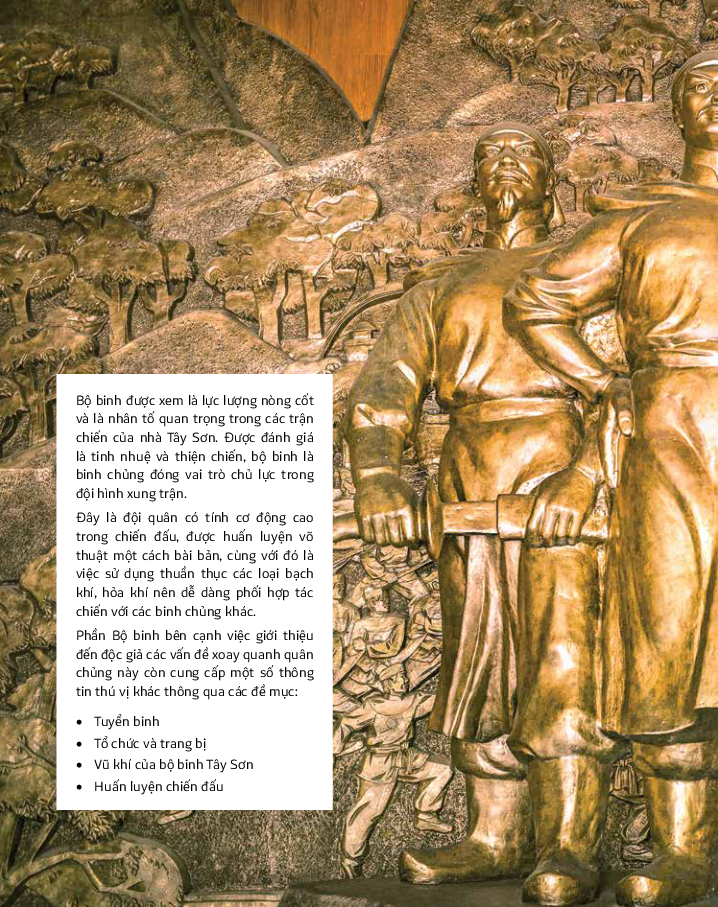 quân đội tây sơn - lịch sử bằng hình ảnh - bìa cứng - Ảnh 6