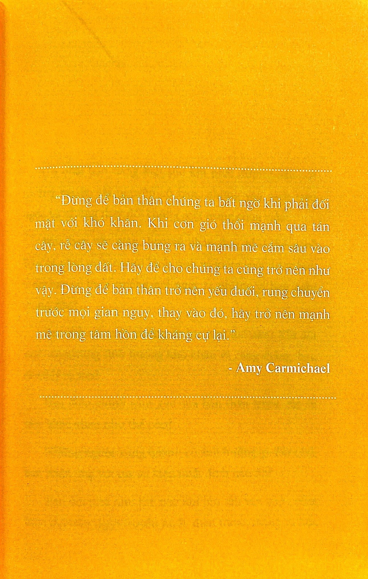 quản trị doanh nghiệp trong thời đại mới - sức bật tinh thần - Ảnh 6