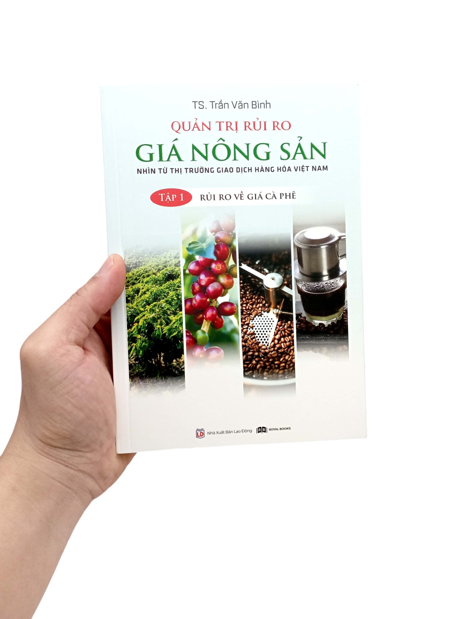 quản trị rủi ro giá nông sản - nhìn từ thị trường giao dịch hàng hóa việt nam - tập 1 - rủi ro về giá cà phê - Ảnh 8