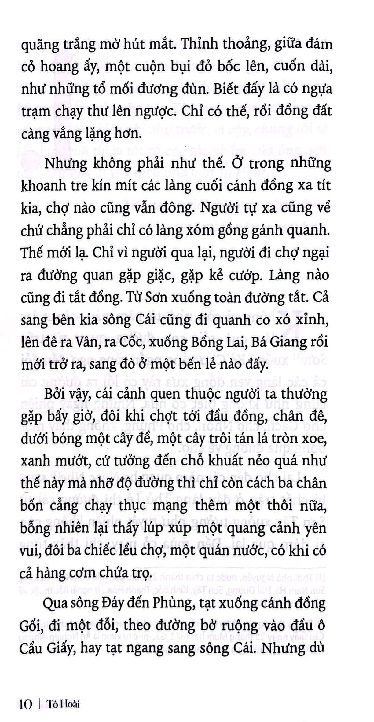 quê nhà - Ảnh 4