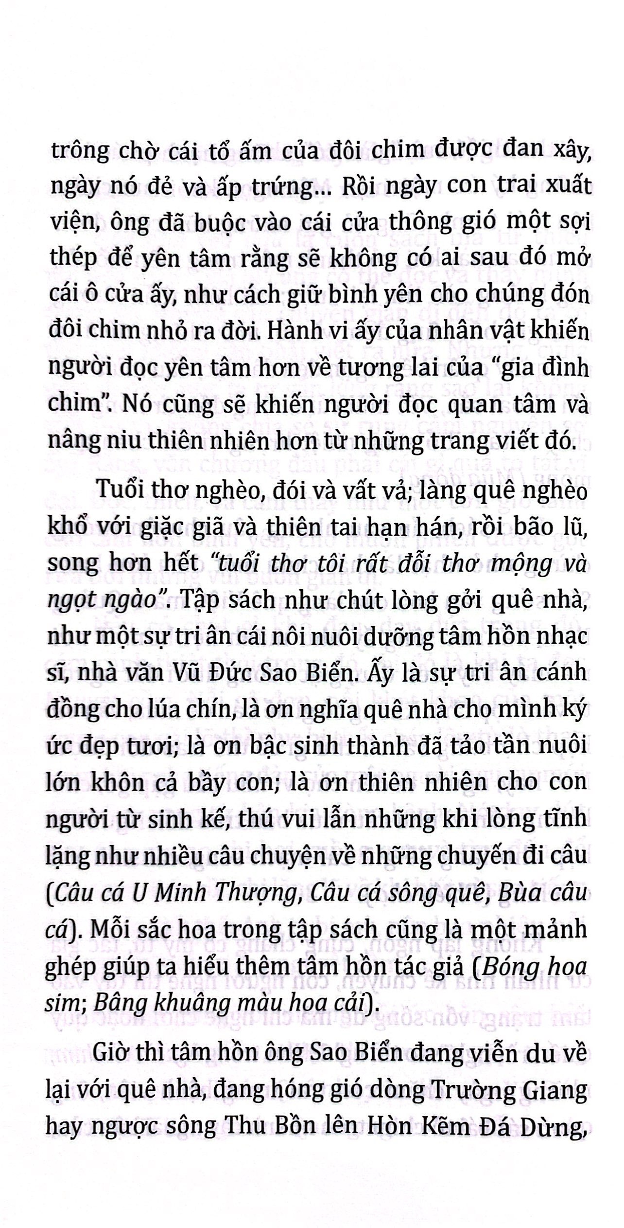 quê nhà yêu dấu - Ảnh 6