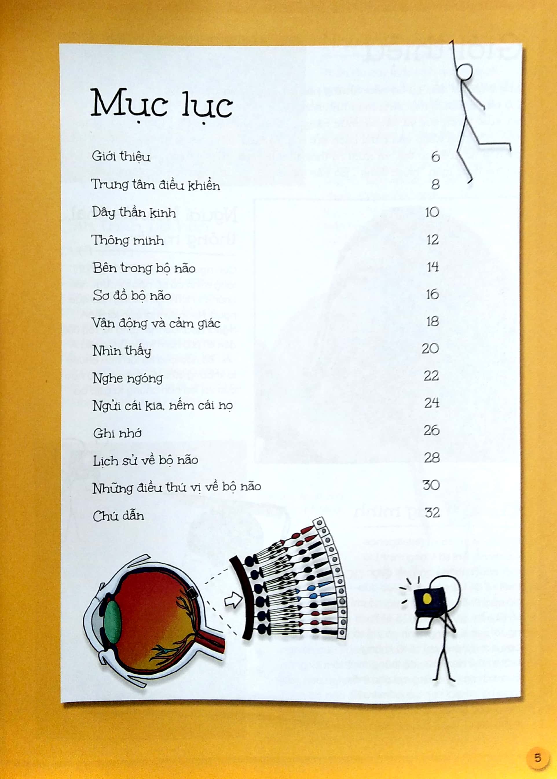 que que thích khám phá: bộ não thông thái - và hệ thống dây thần kinh bận rộn - Ảnh 3