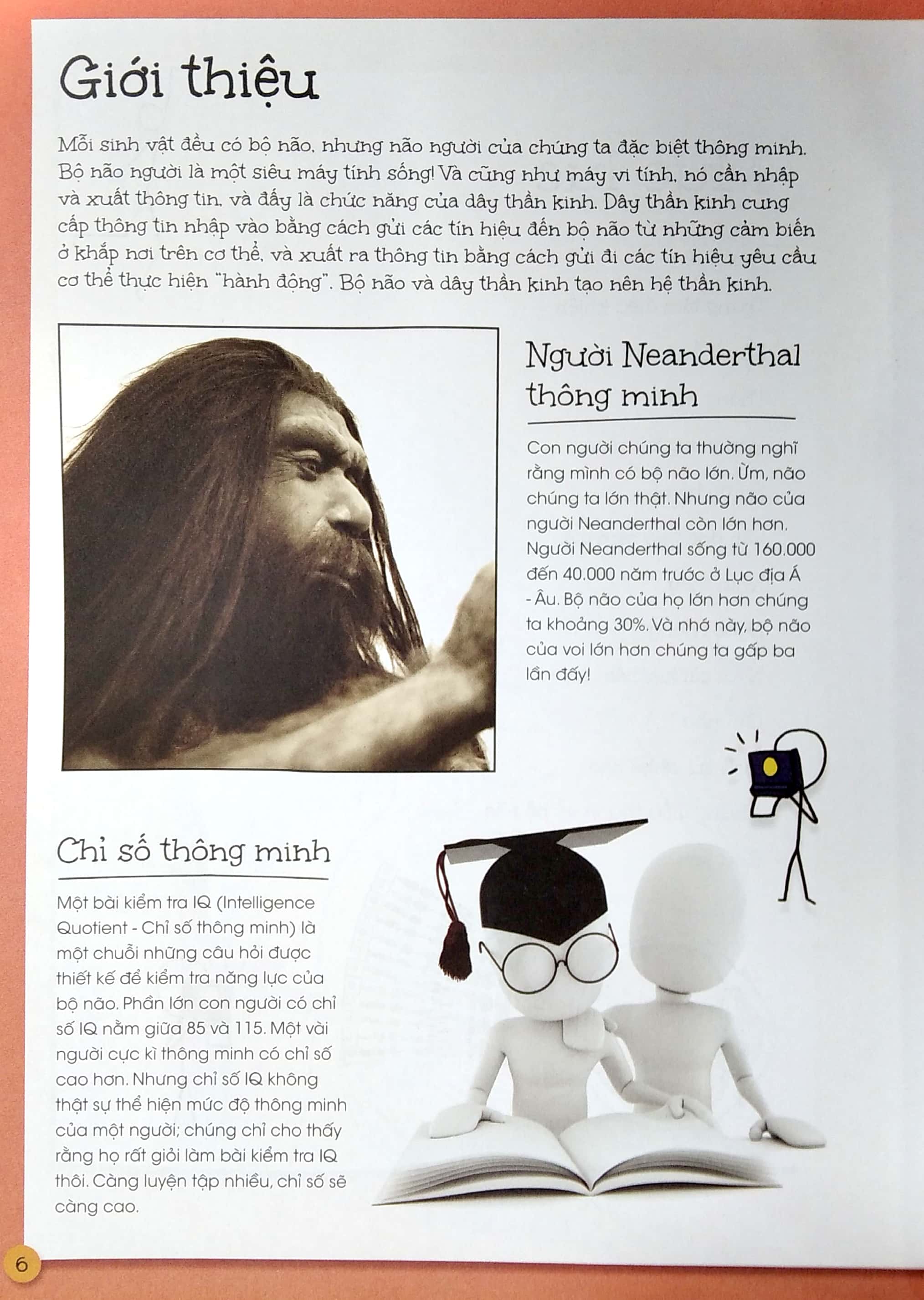 que que thích khám phá: bộ não thông thái - và hệ thống dây thần kinh bận rộn - Ảnh 4