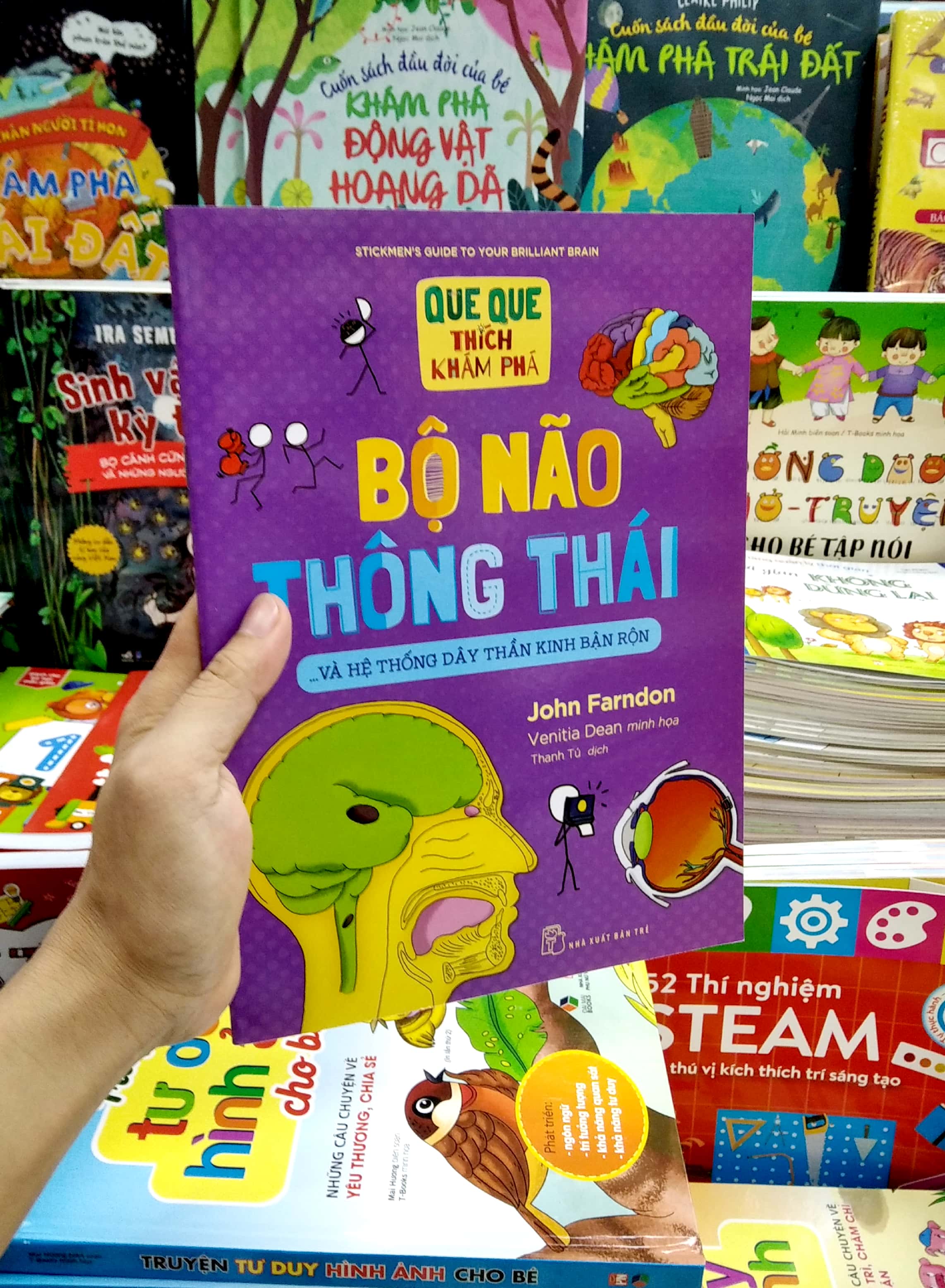 que que thích khám phá: bộ não thông thái - và hệ thống dây thần kinh bận rộn - Ảnh 7