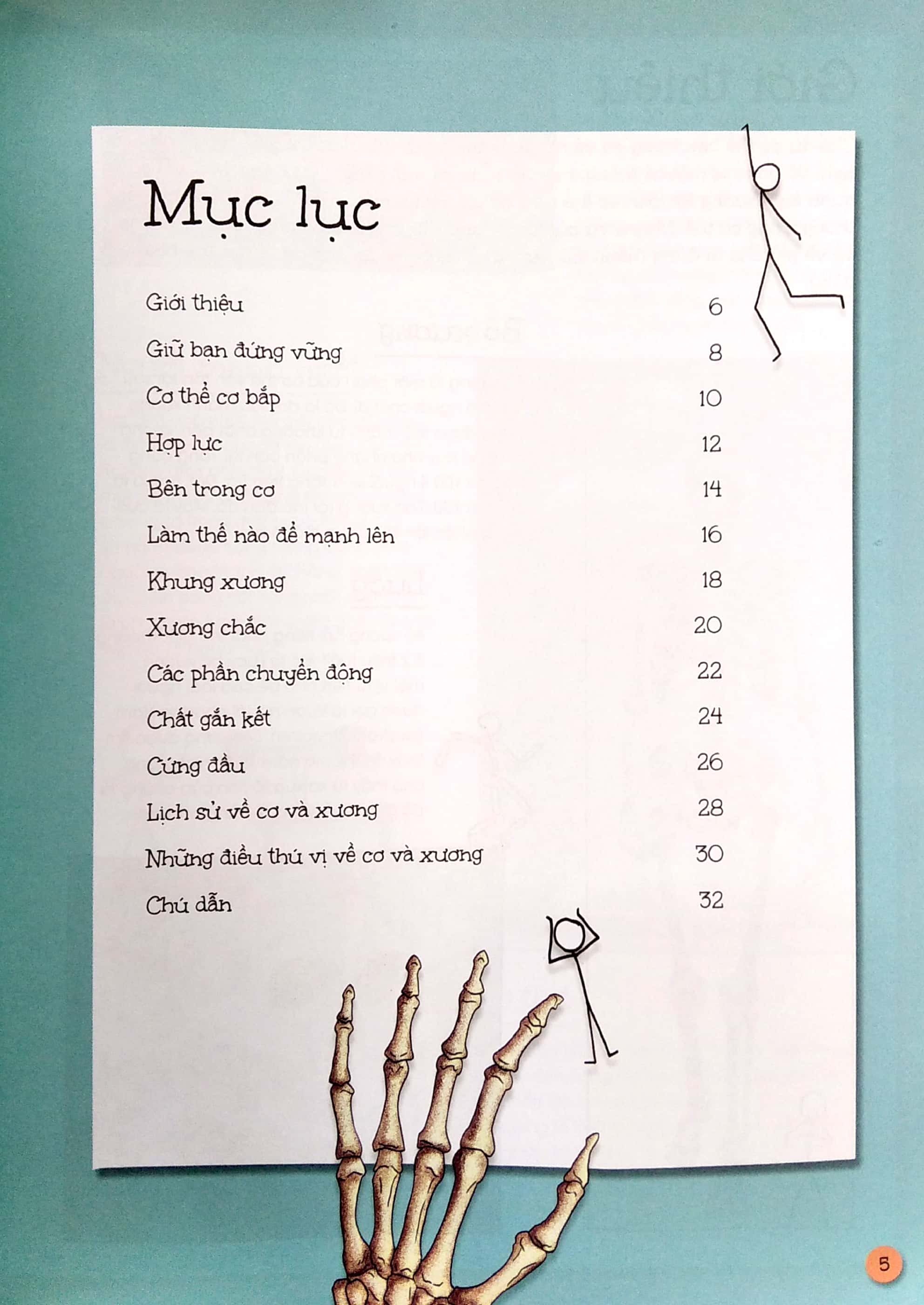 que que thích khám phá: cơ xương chắc khỏe - giữ bạn đứng vững và giúp bạn mạnh mẽ - Ảnh 3