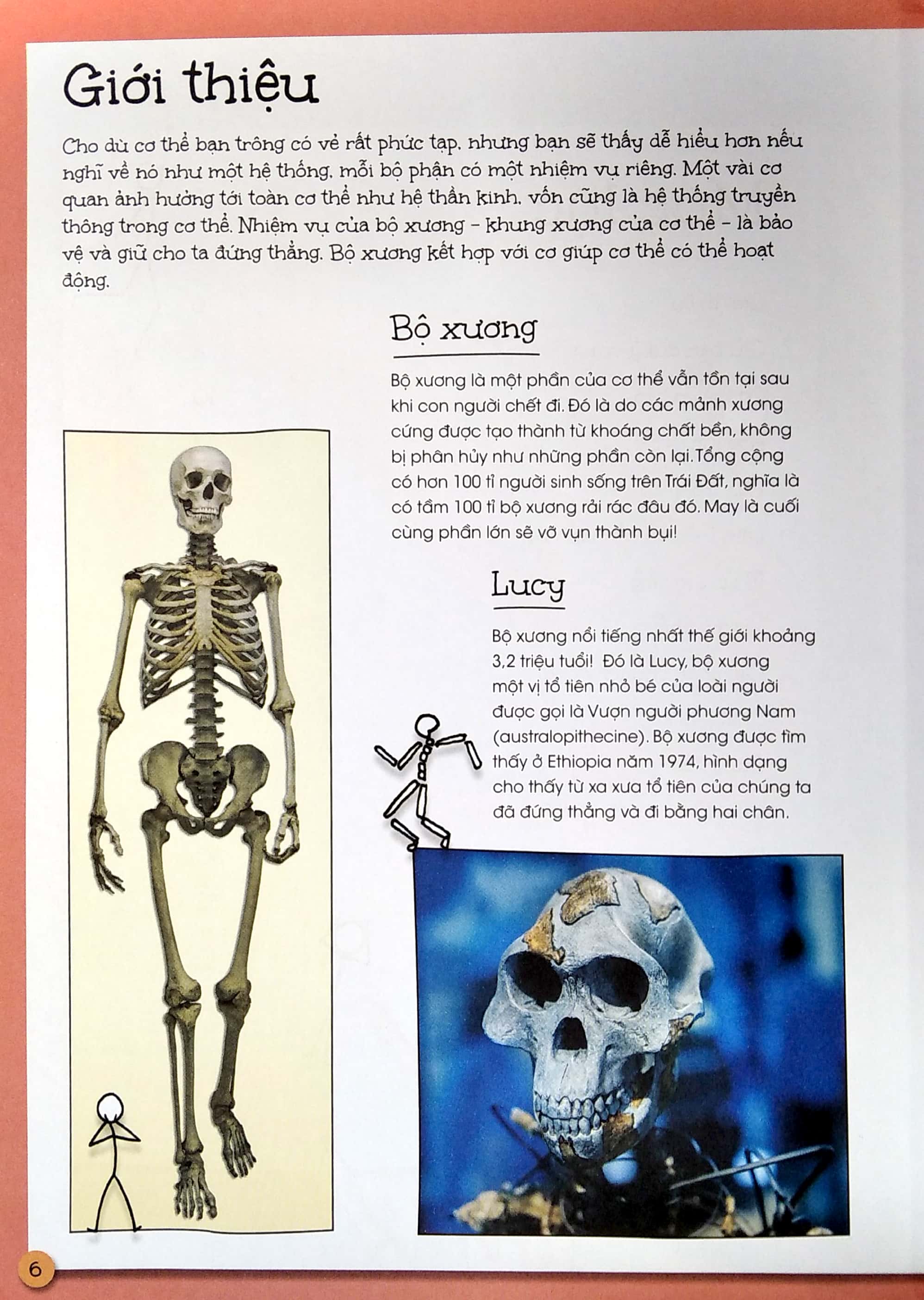que que thích khám phá: cơ xương chắc khỏe - giữ bạn đứng vững và giúp bạn mạnh mẽ - Ảnh 4