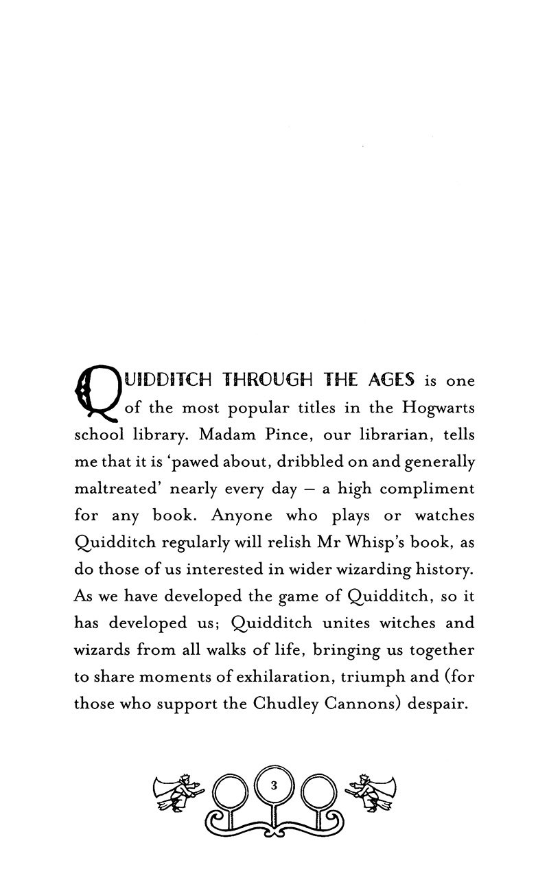 quidditch qua các thời đại - harry potter ngoại truyện - Ảnh 10