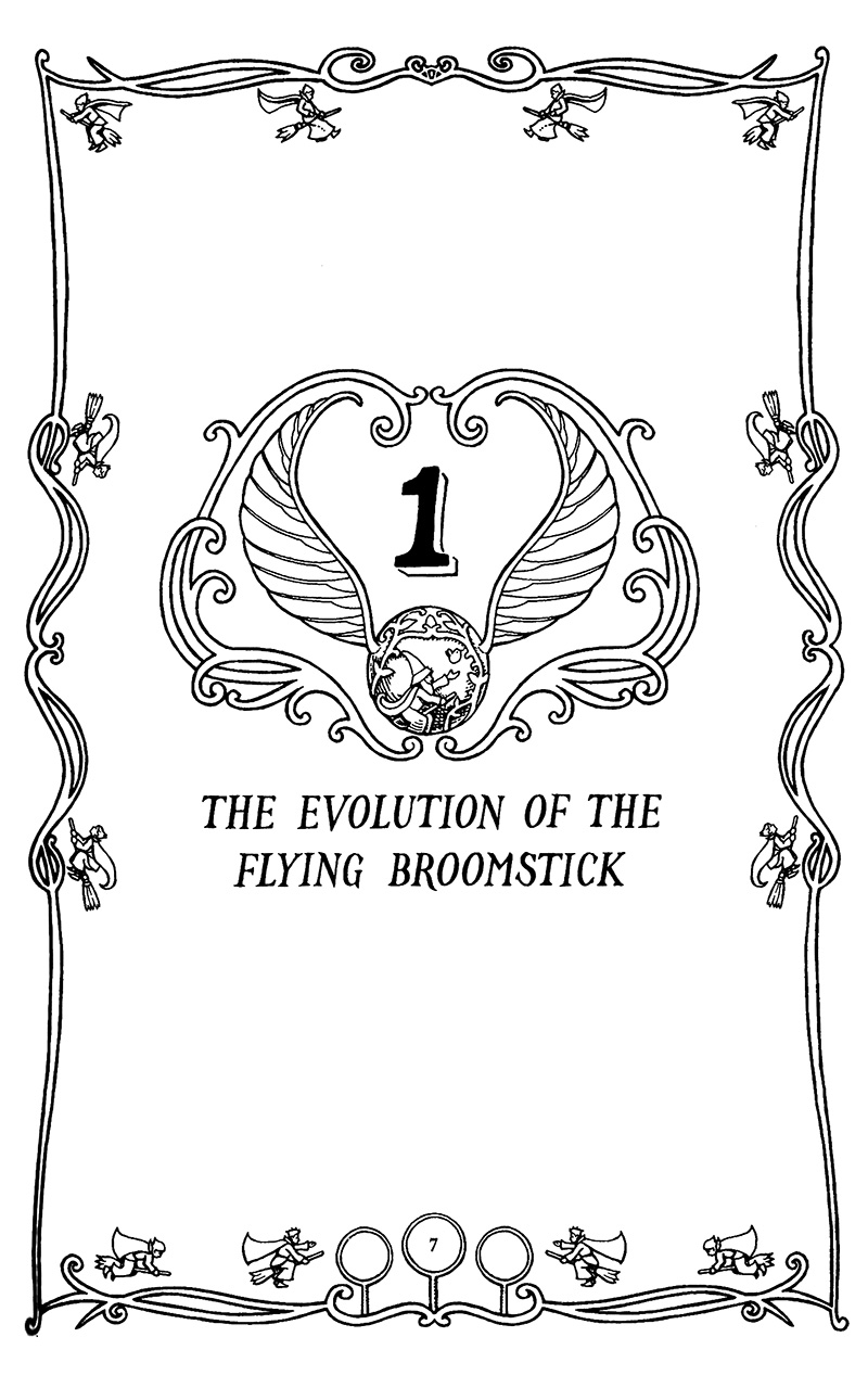 quidditch qua các thời đại - harry potter ngoại truyện - Ảnh 14