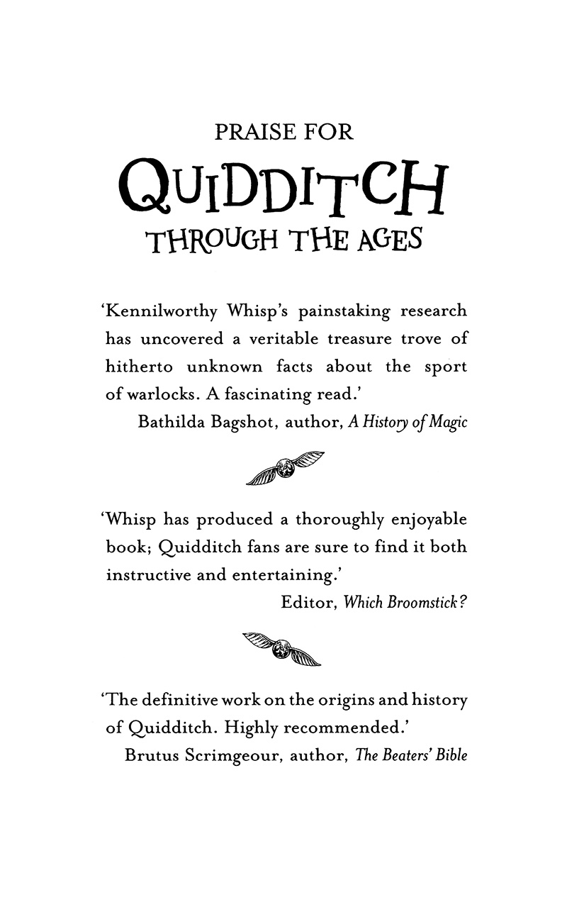 quidditch qua các thời đại - harry potter ngoại truyện - Ảnh 4