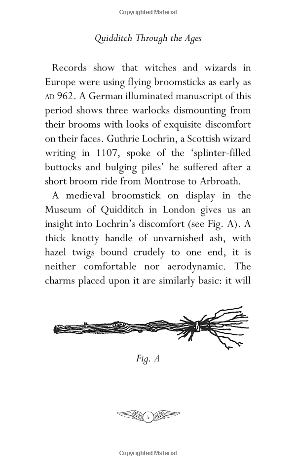 quidditch through the ages-paperback - Ảnh 10