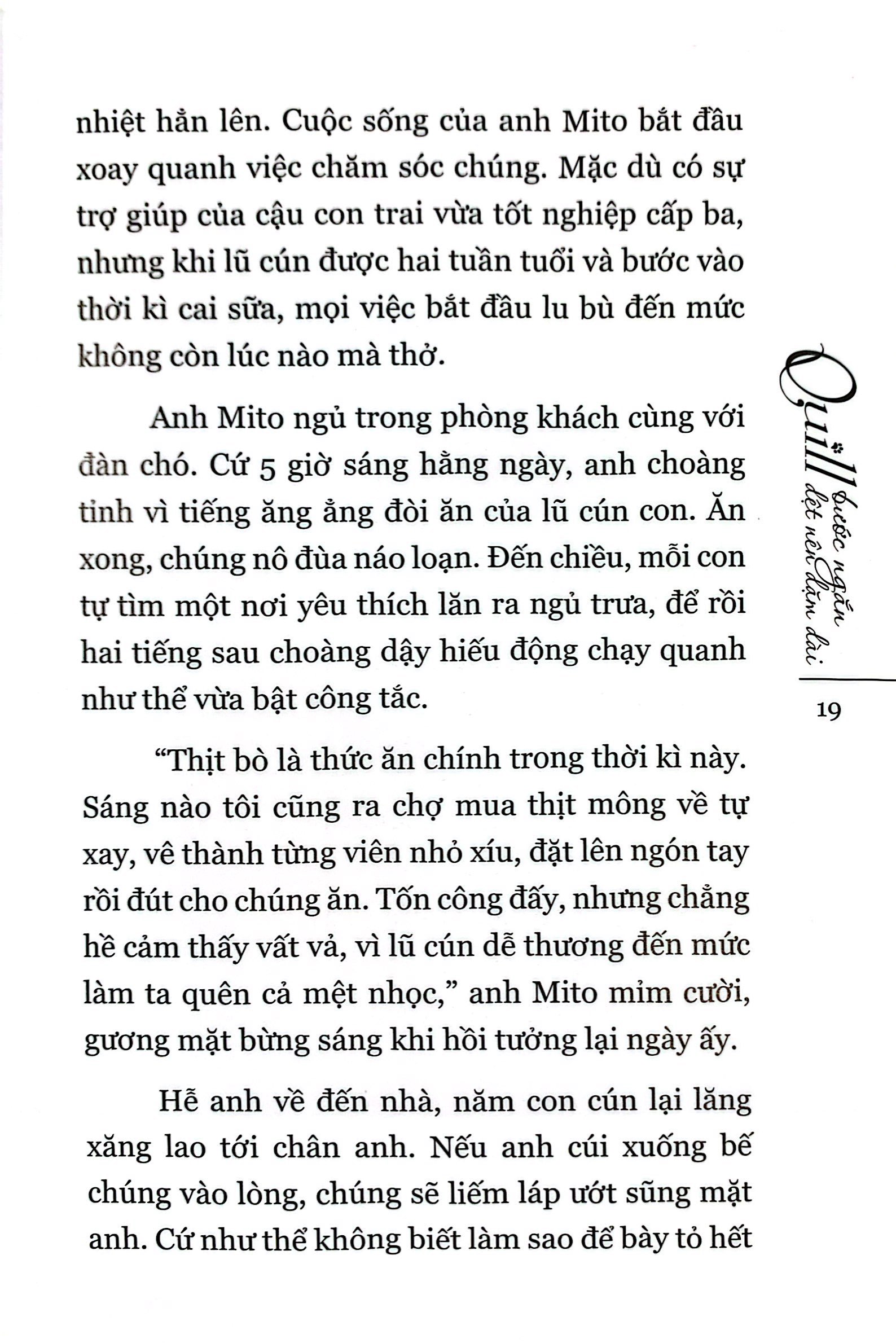 quill - bước ngắn dệt nên dặm dài - Ảnh 10