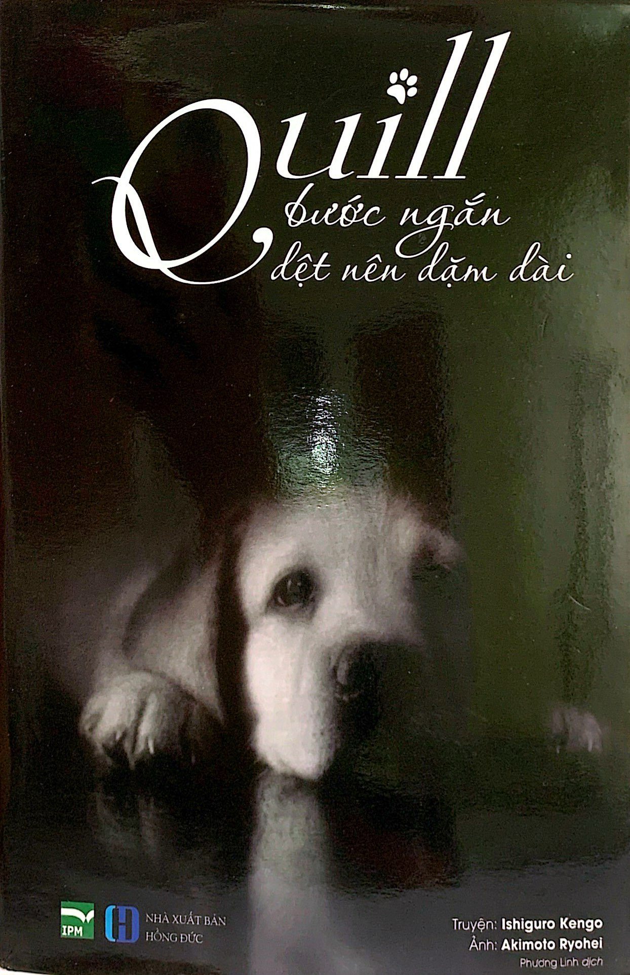 quill - bước ngắn dệt nên dặm dài - Ảnh 3