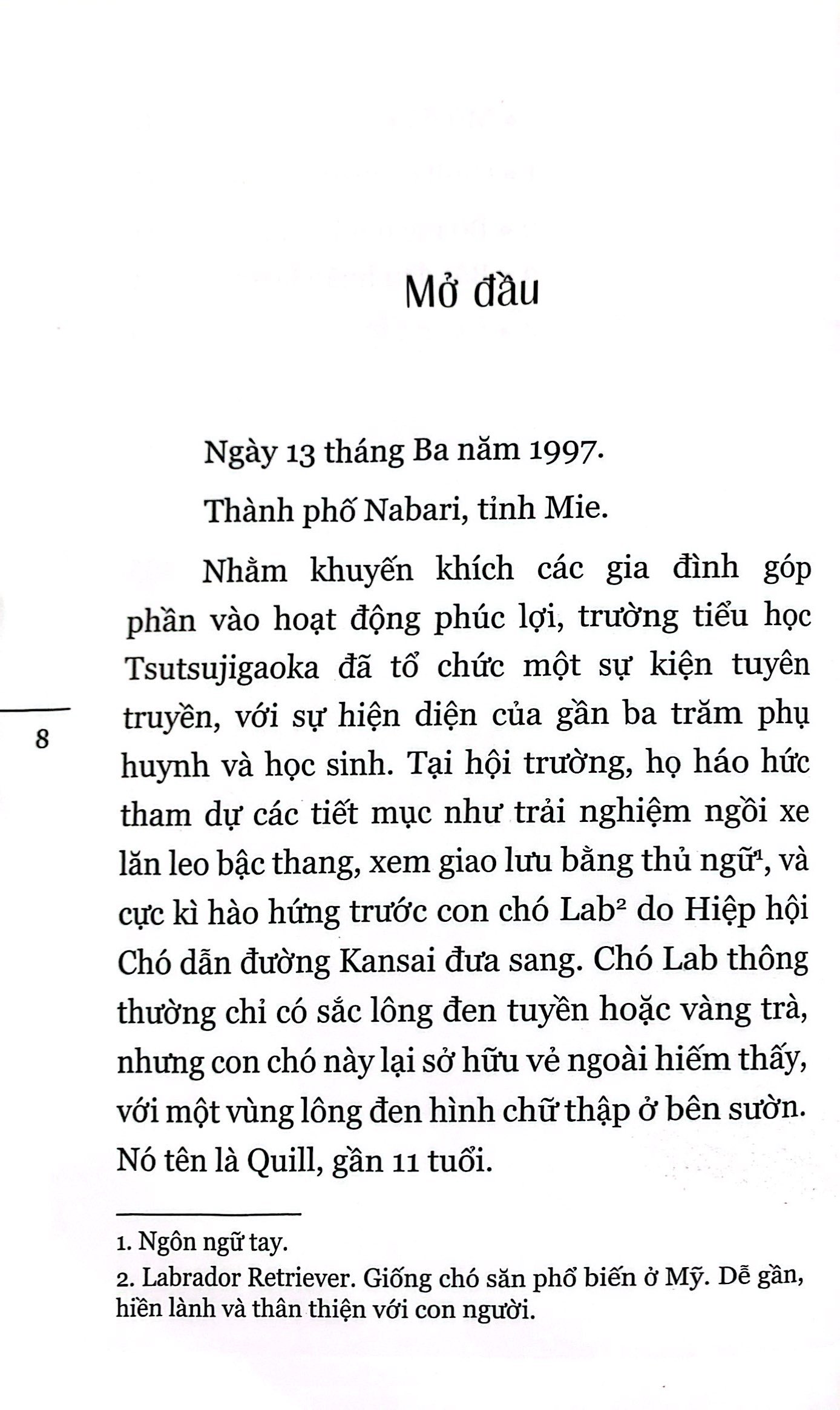quill - bước ngắn dệt nên dặm dài - Ảnh 5