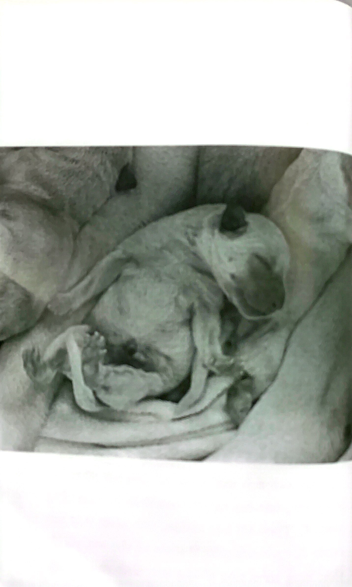 quill - bước ngắn dệt nên dặm dài - Ảnh 8