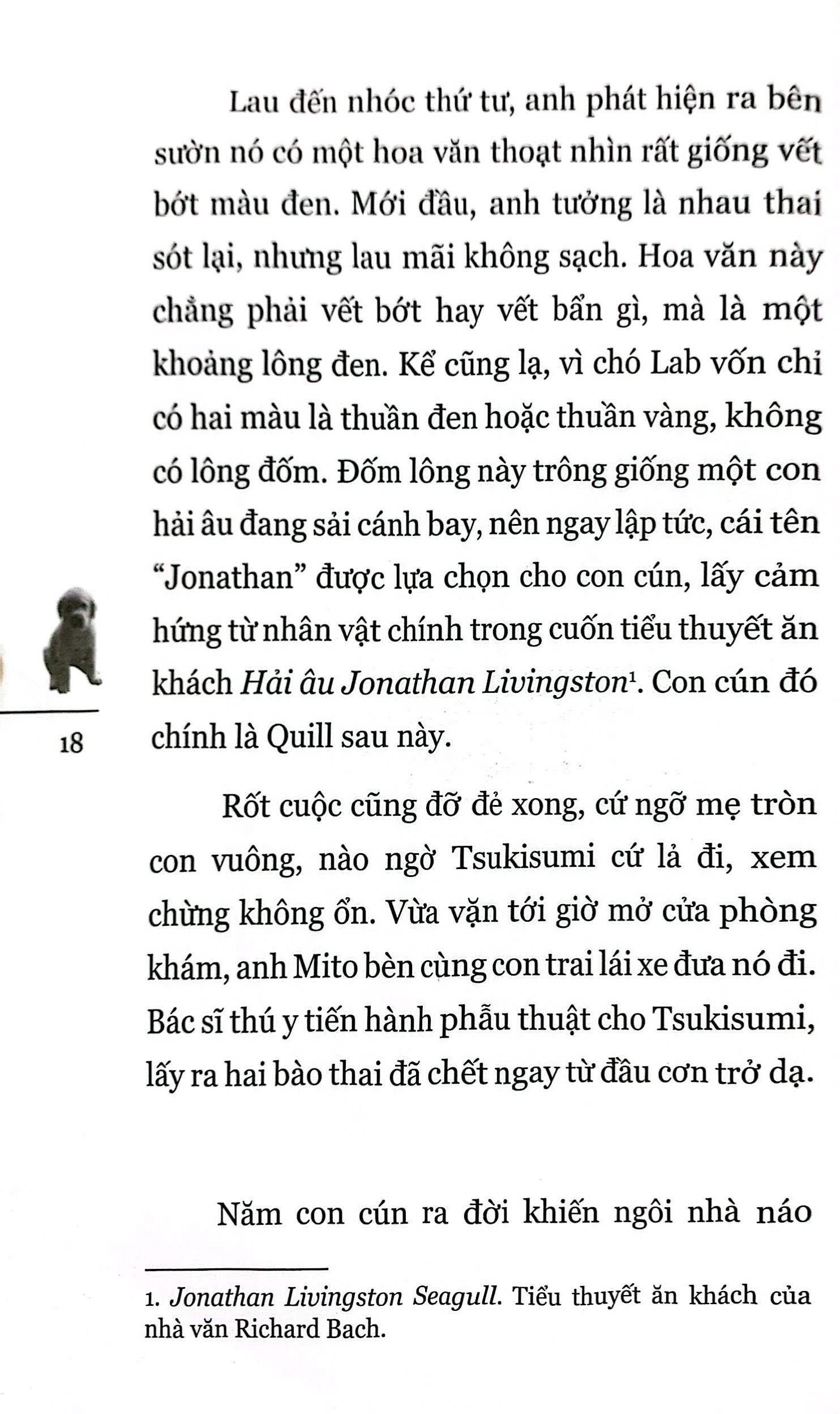 quill - bước ngắn dệt nên dặm dài - Ảnh 9