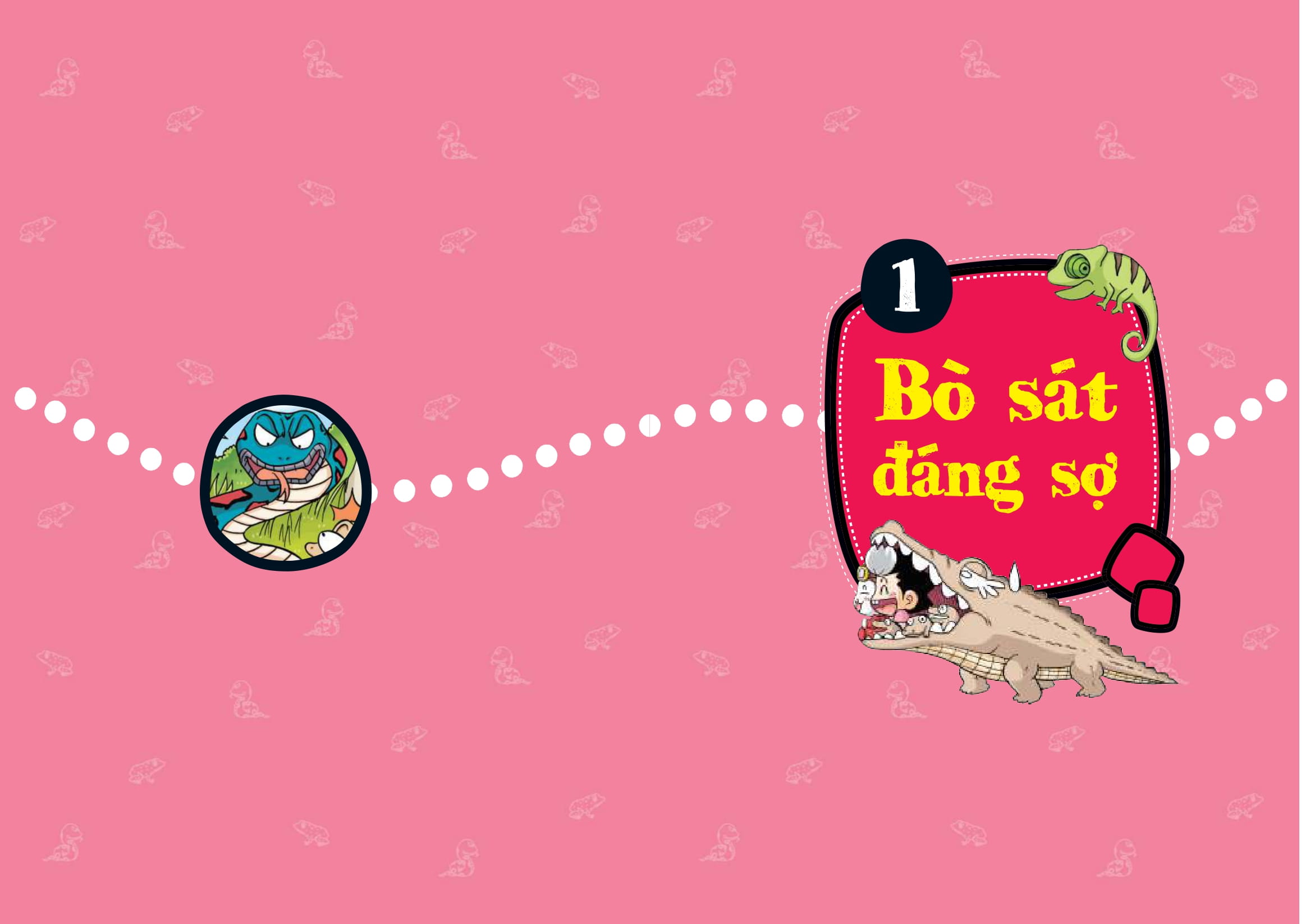 Quiz! Khoa Học Kì Thú - Bò Sát-Lưỡng Cư - Ảnh 5