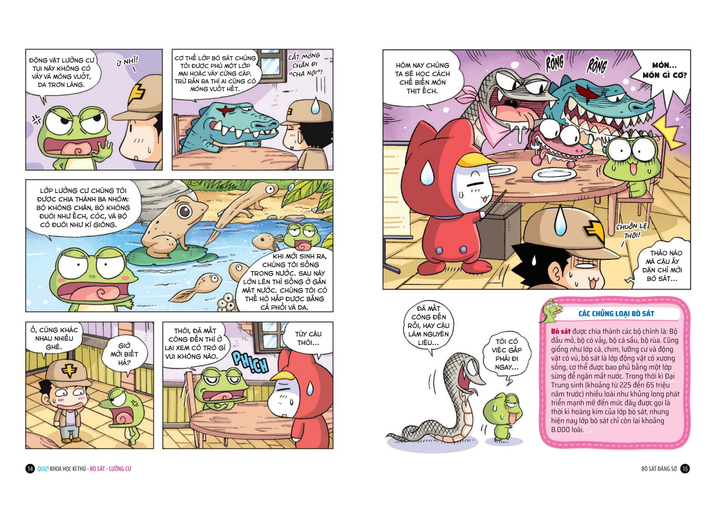 Quiz! Khoa Học Kì Thú - Bò Sát-Lưỡng Cư - Ảnh 8