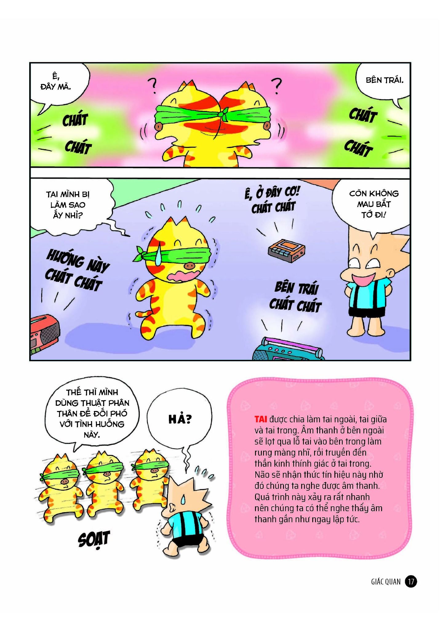 quiz! khoa học kì thú - cơ thể con người (tái bản 2024) - Ảnh 10