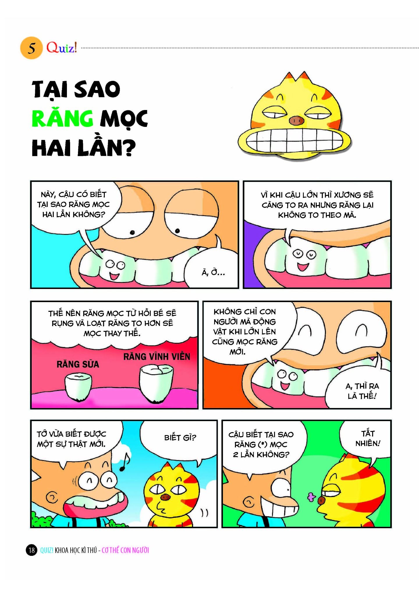 quiz! khoa học kì thú - cơ thể con người (tái bản 2024) - Ảnh 11