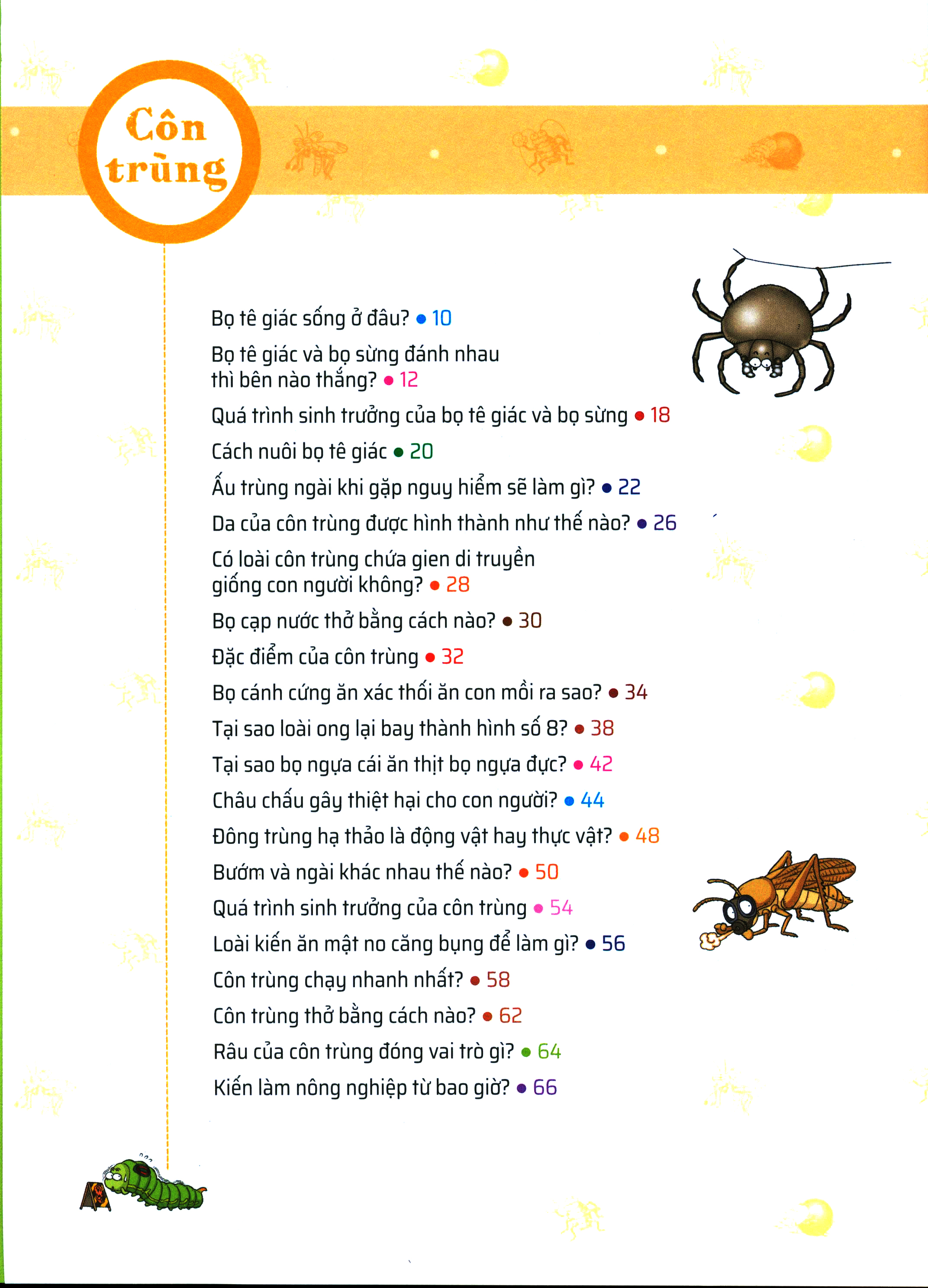 quiz! khoa học kì thú - côn trùng (tái bản 2024) - Ảnh 4