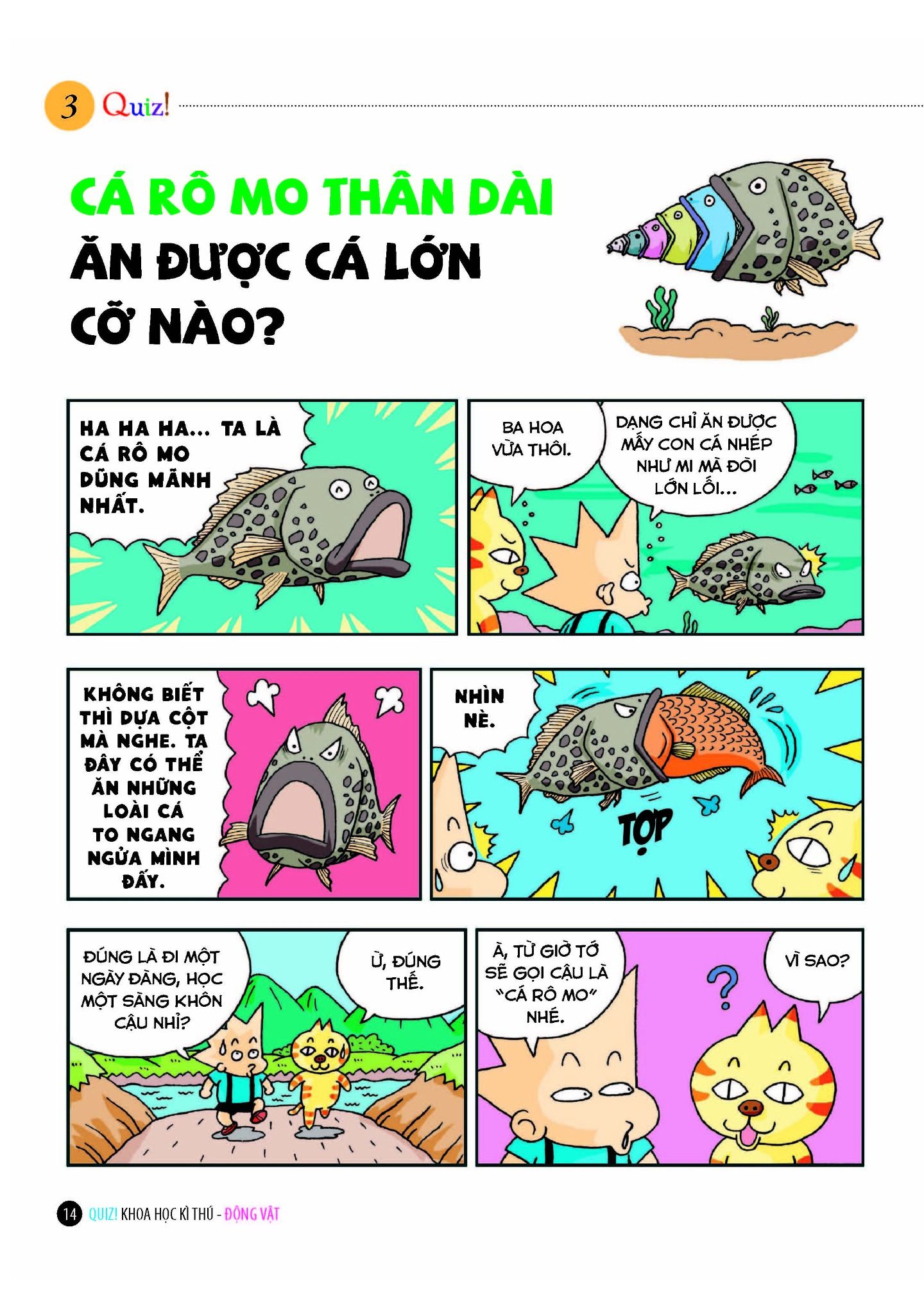 quiz! khoa học kì thú - động vật (tái bản 2024) - Ảnh 8