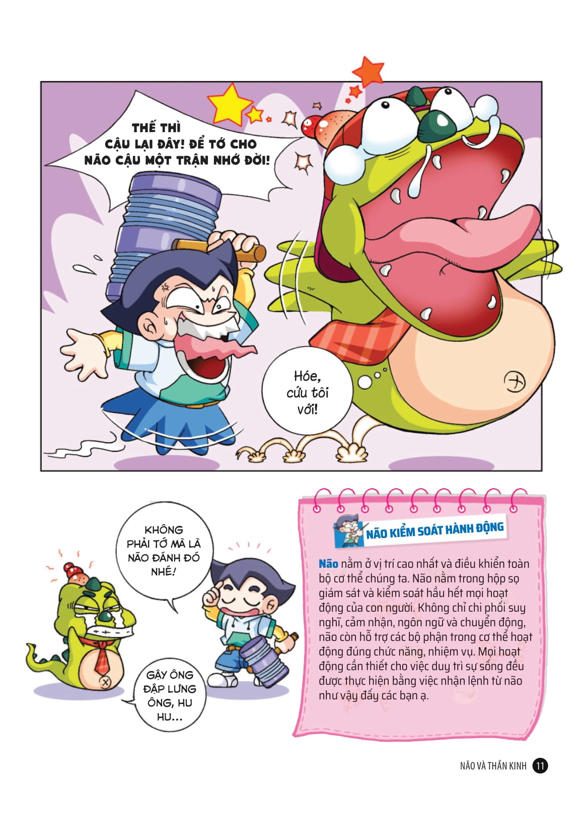 quiz! khoa học kì thú - khám phá não bộ - Ảnh 10