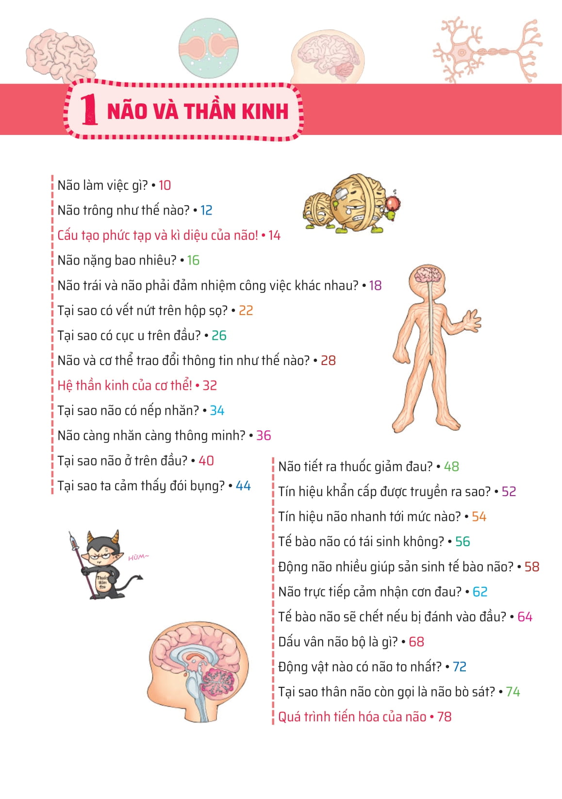 quiz! khoa học kì thú - khám phá não bộ - Ảnh 3