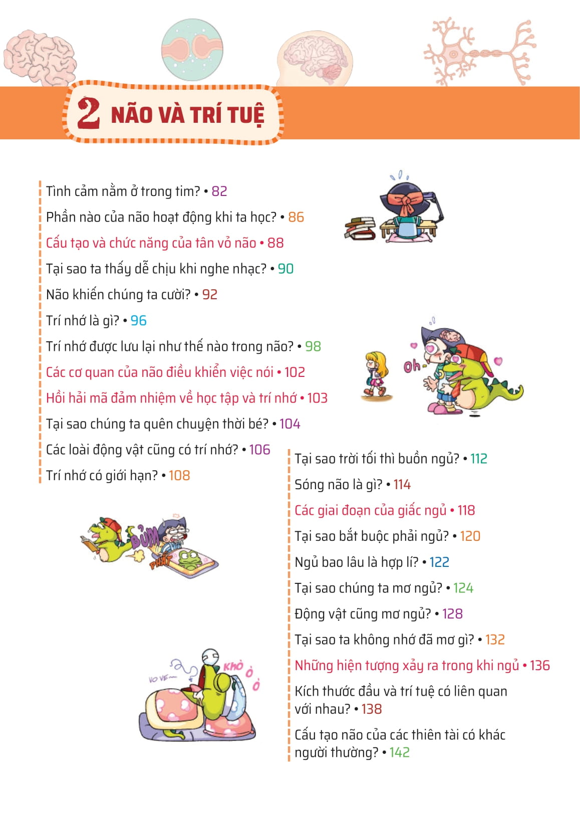 quiz! khoa học kì thú - khám phá não bộ - Ảnh 4