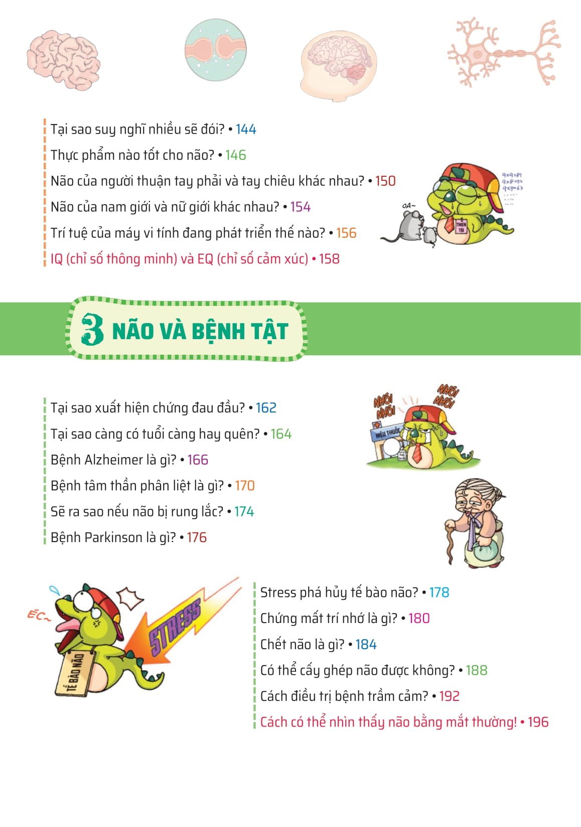 quiz! khoa học kì thú - khám phá não bộ - Ảnh 5