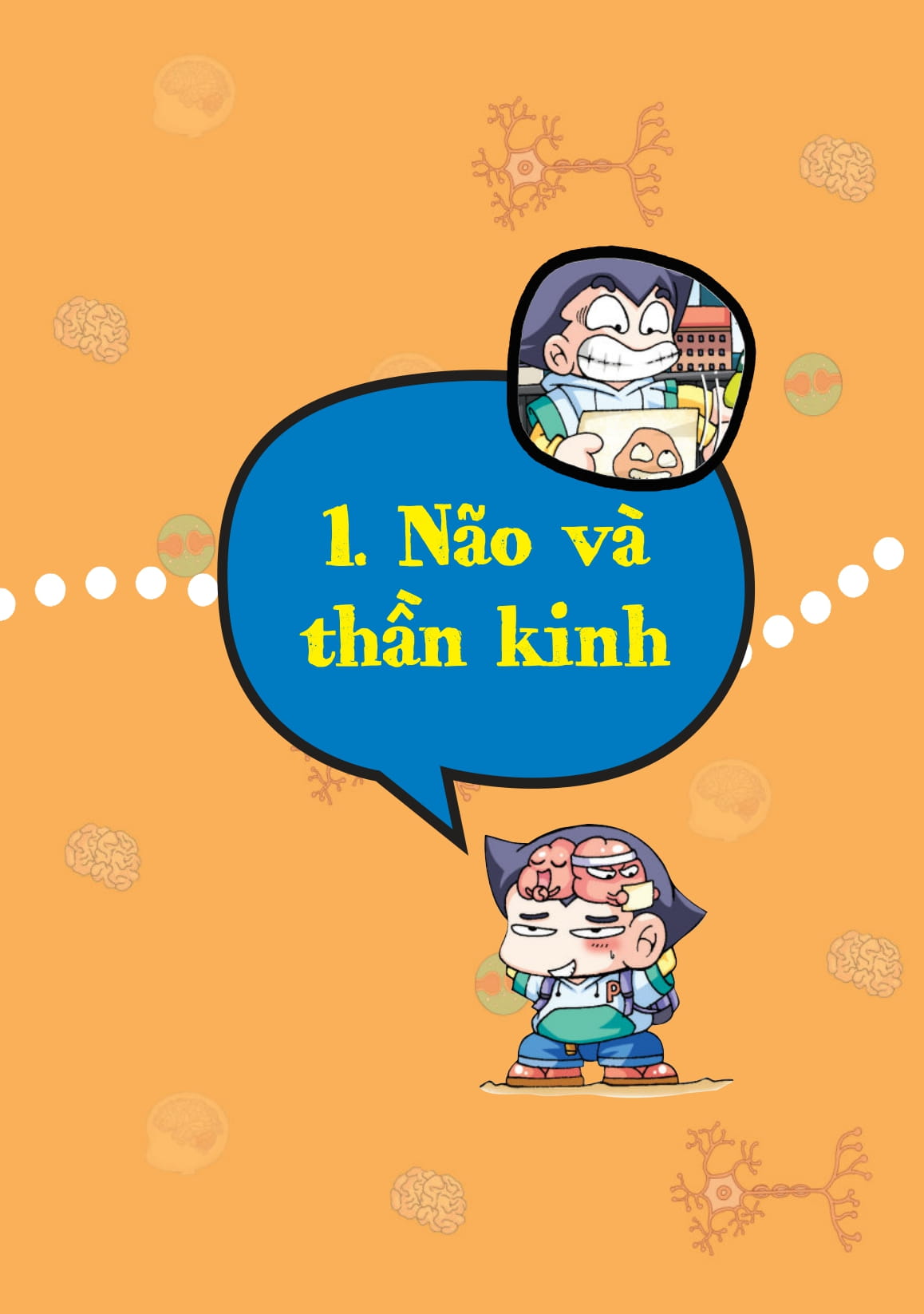 quiz! khoa học kì thú - khám phá não bộ - Ảnh 8