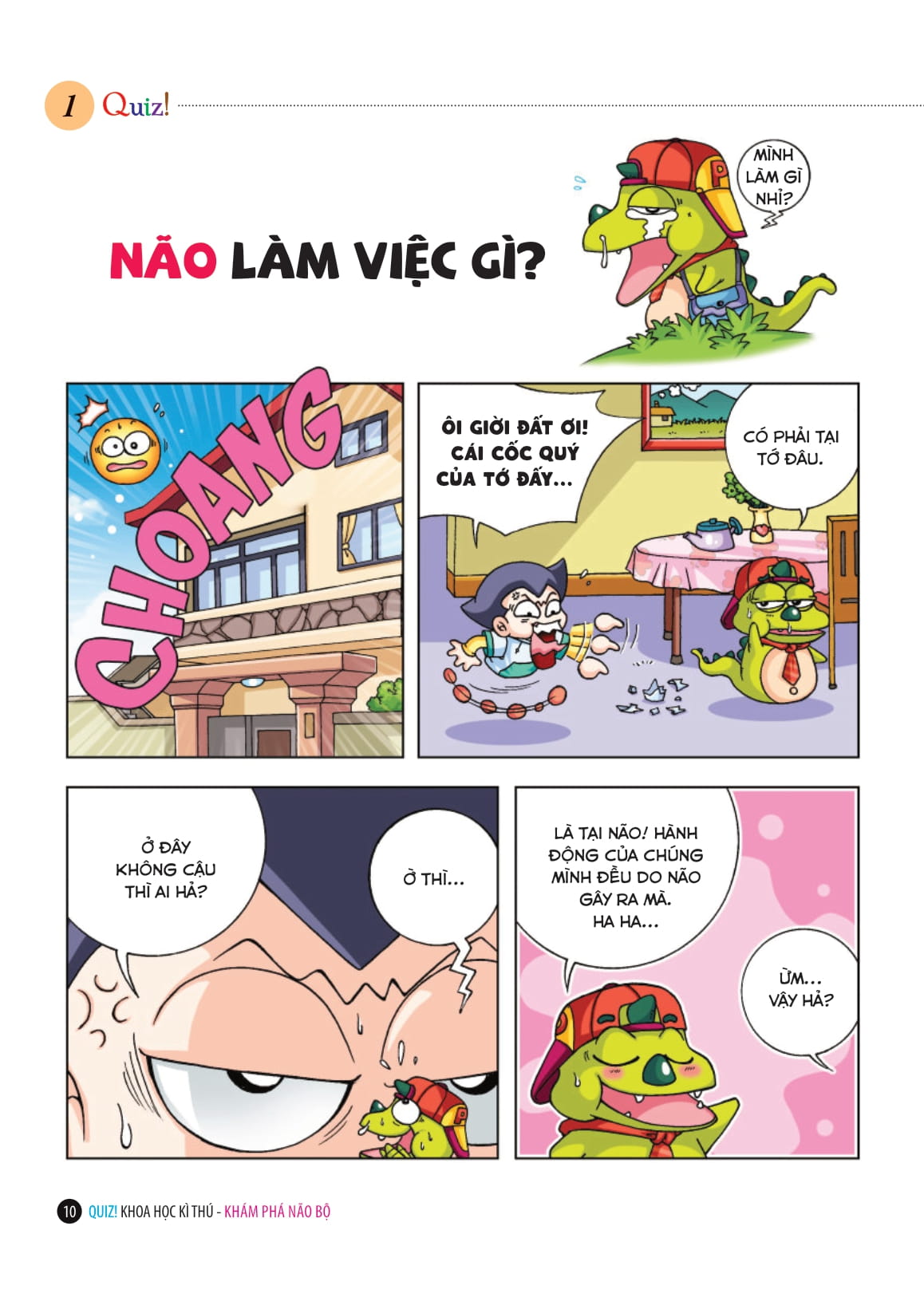 quiz! khoa học kì thú - khám phá não bộ - Ảnh 9