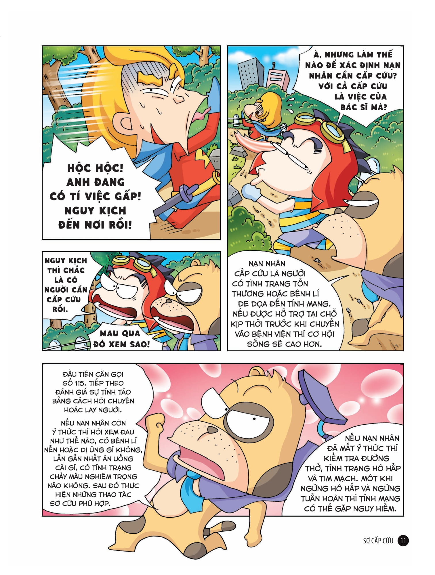 quiz! khoa học kì thú - sơ cấp cứu - Ảnh 3