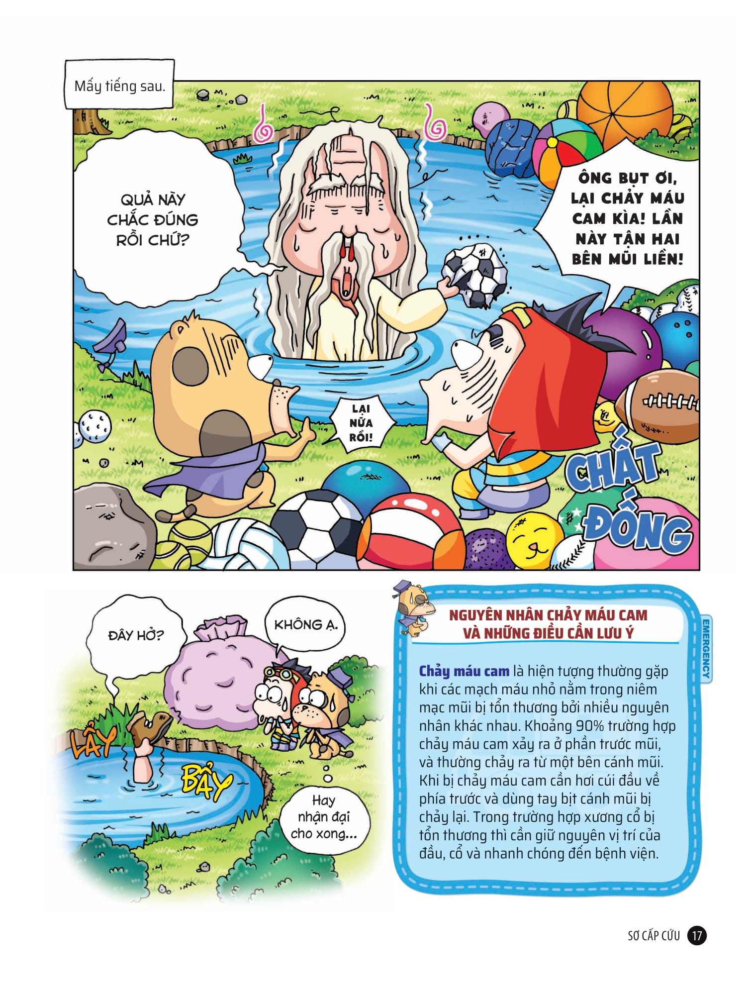 quiz! khoa học kì thú - sơ cấp cứu - Ảnh 9