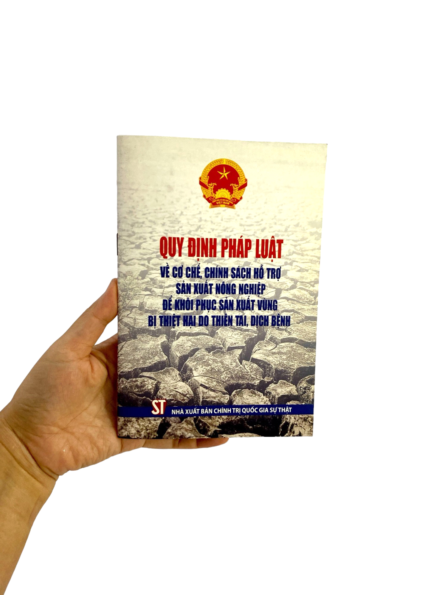 quy định pháp luật về cơ chế, chính sách hỗ trợ sản xuất nông nghiệp để khôi phục sản xuất vùng bị thiệt hại do thiên tai, dịch bệnh - Ảnh 9