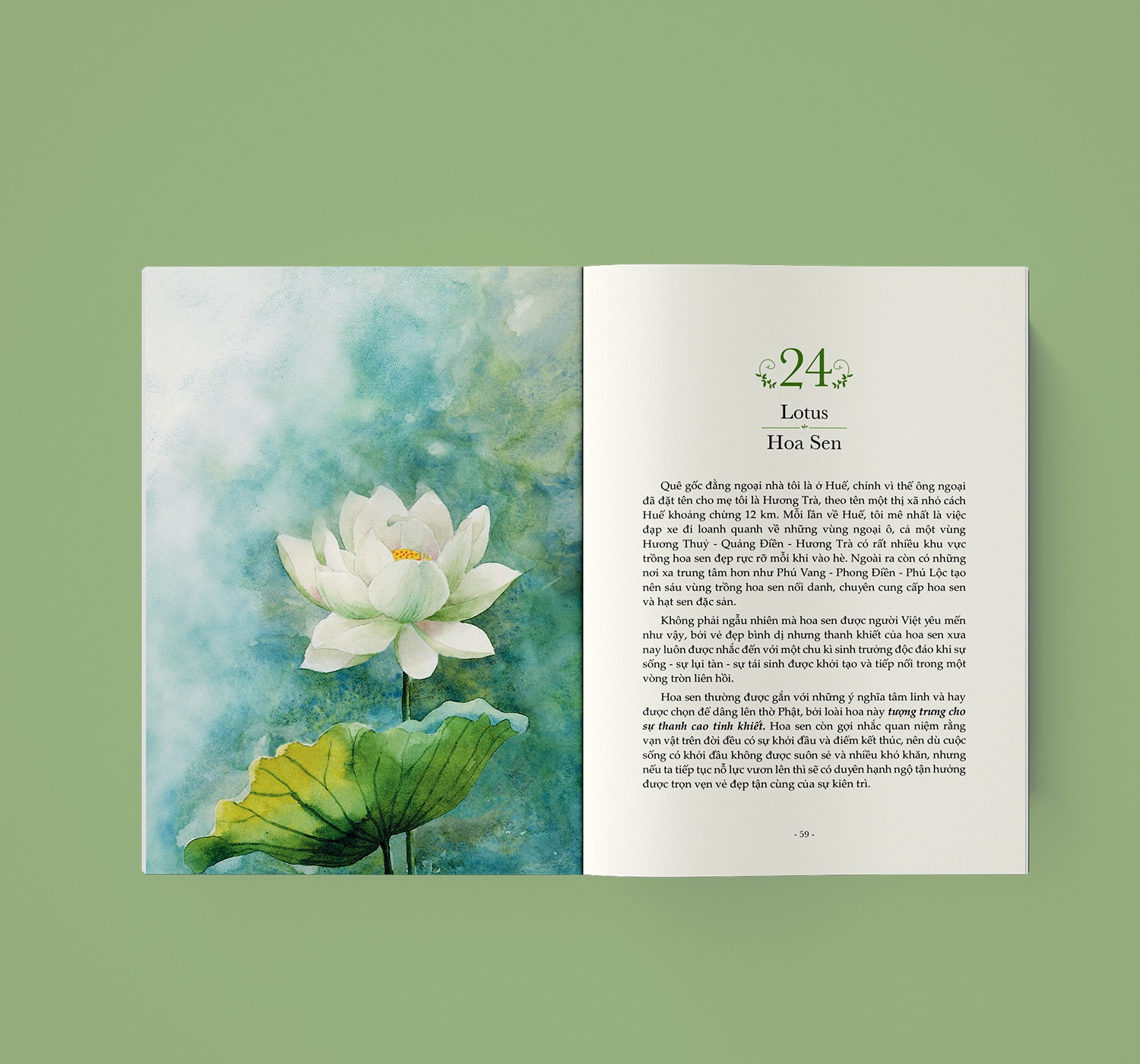 Quyền Năng Của Hoa - Lời Thầm Thì Cảm Xúc Từ Thiên Nhiên - Tặng Kèm Set 5 Postcard Kèm Phong Bì - Ảnh 7