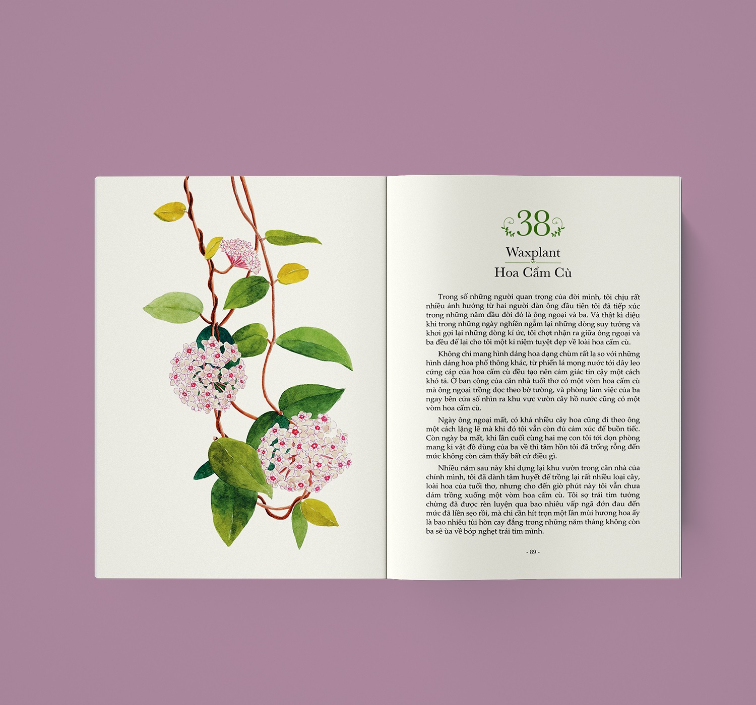 Quyền Năng Của Hoa - Lời Thầm Thì Cảm Xúc Từ Thiên Nhiên - Tặng Kèm Set 5 Postcard Kèm Phong Bì - Ảnh 8
