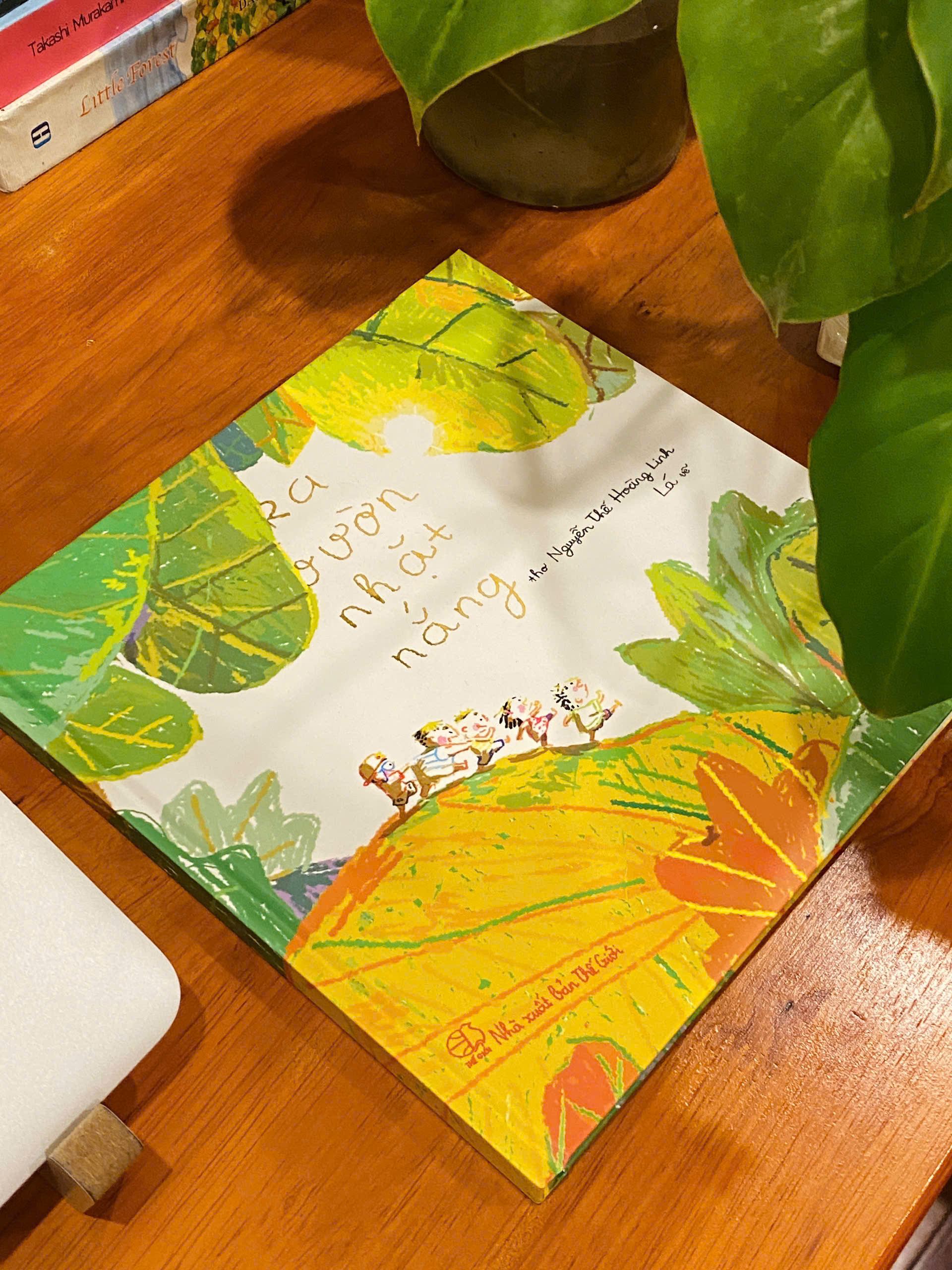 ra vườn nhặt nắng - bản đặc biệt - bìa cứng - tặng kèm postcard + thời khóa biểu - Ảnh 4