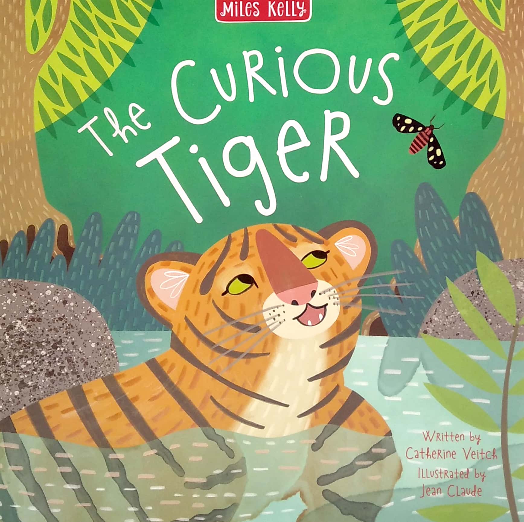 rainforest tales 4 book pack - Ảnh 3