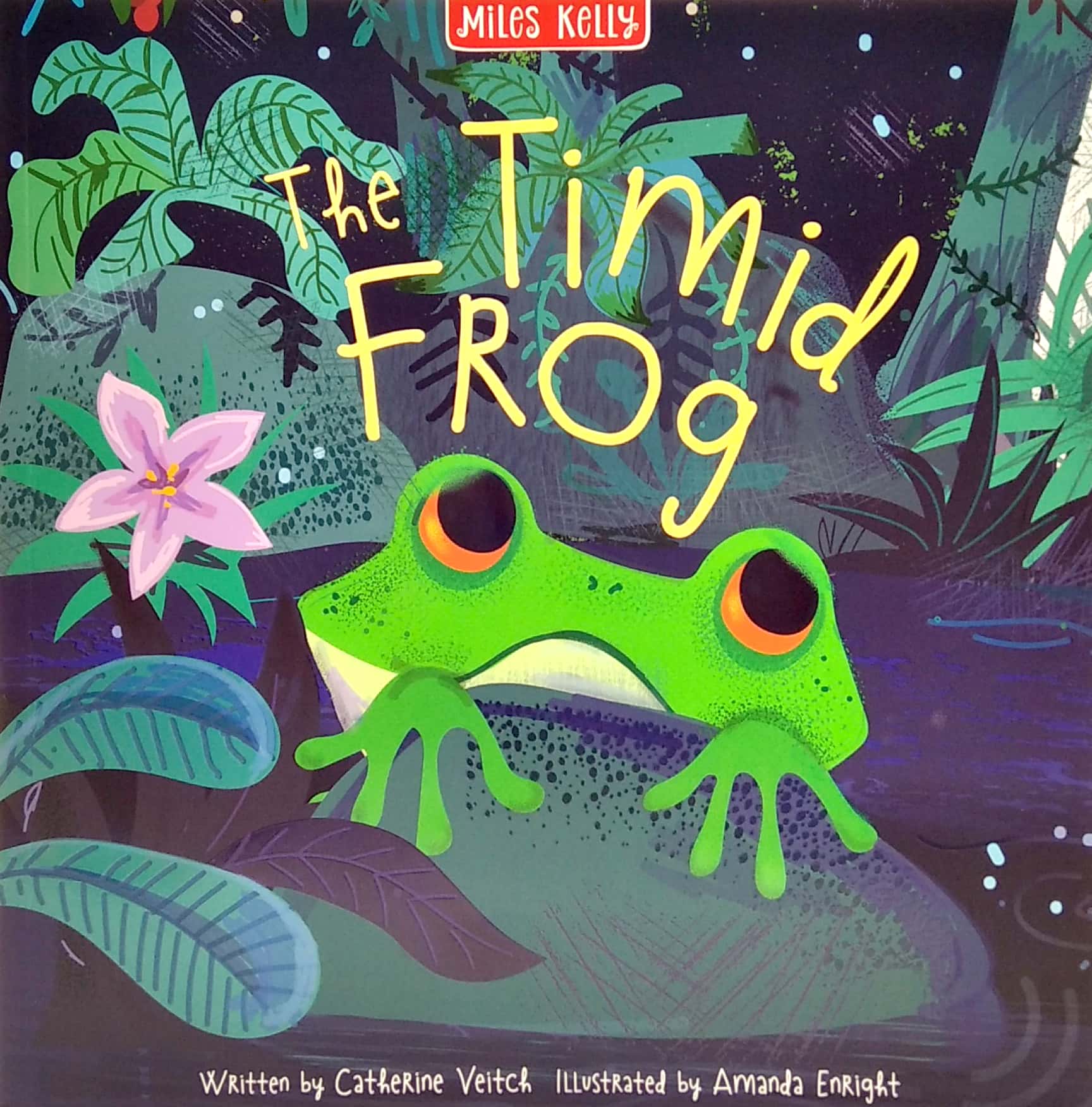 rainforest tales 4 book pack - Ảnh 4