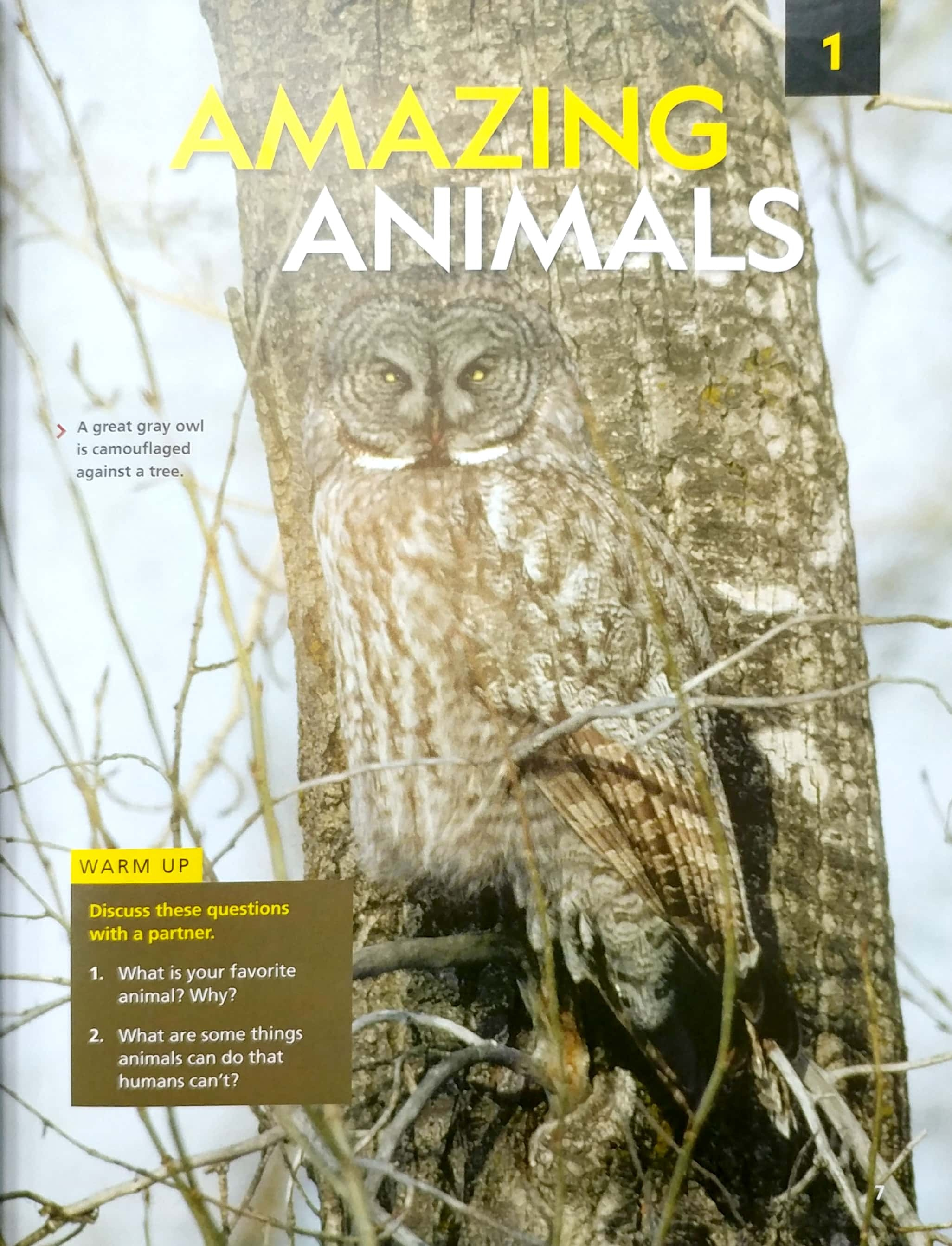 reading explorer 1 - student's book with the spark platform (third edition) - Ảnh 5