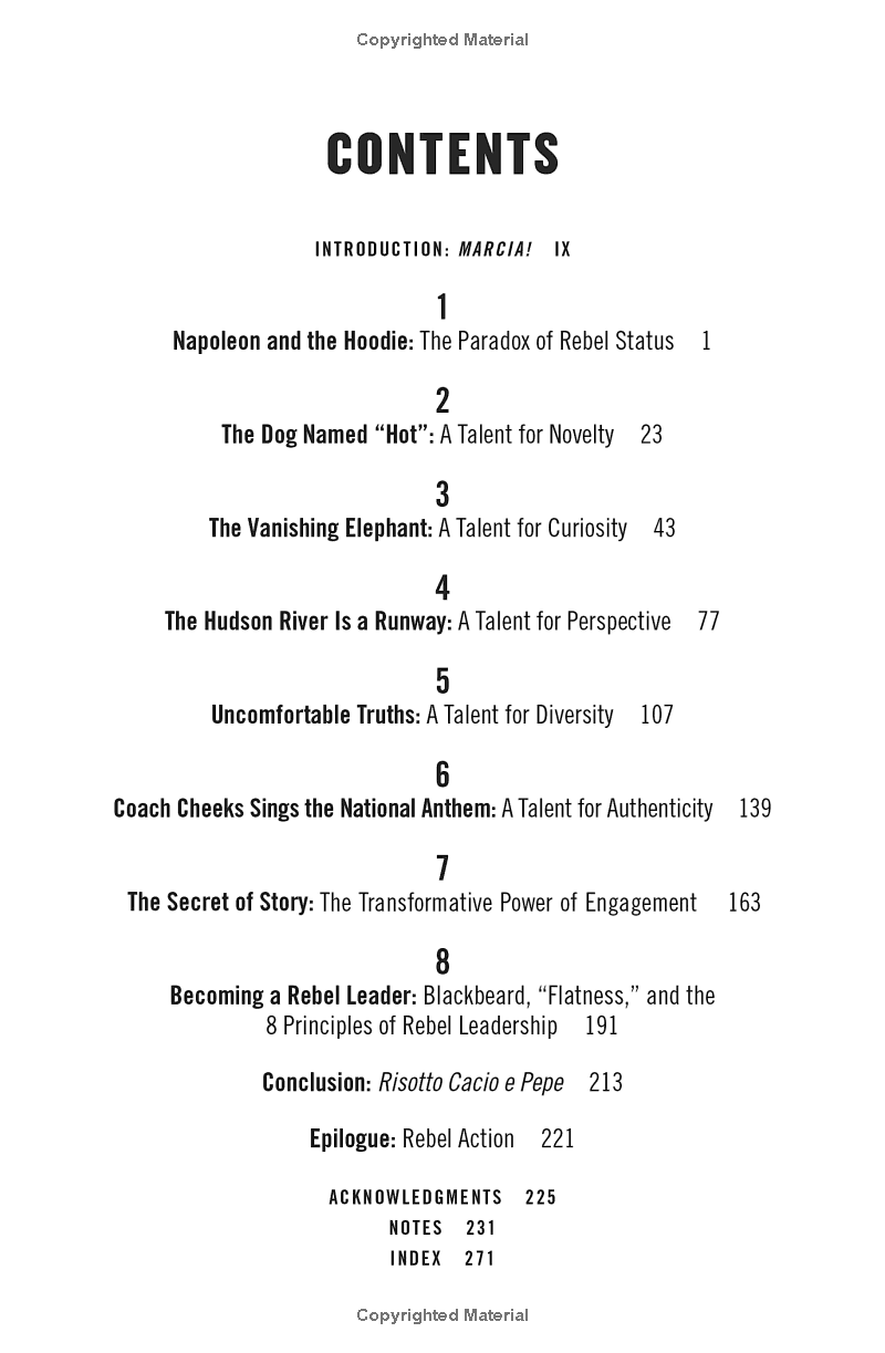 rebel talent: why it pays to break the rules at work and in life - Ảnh 7