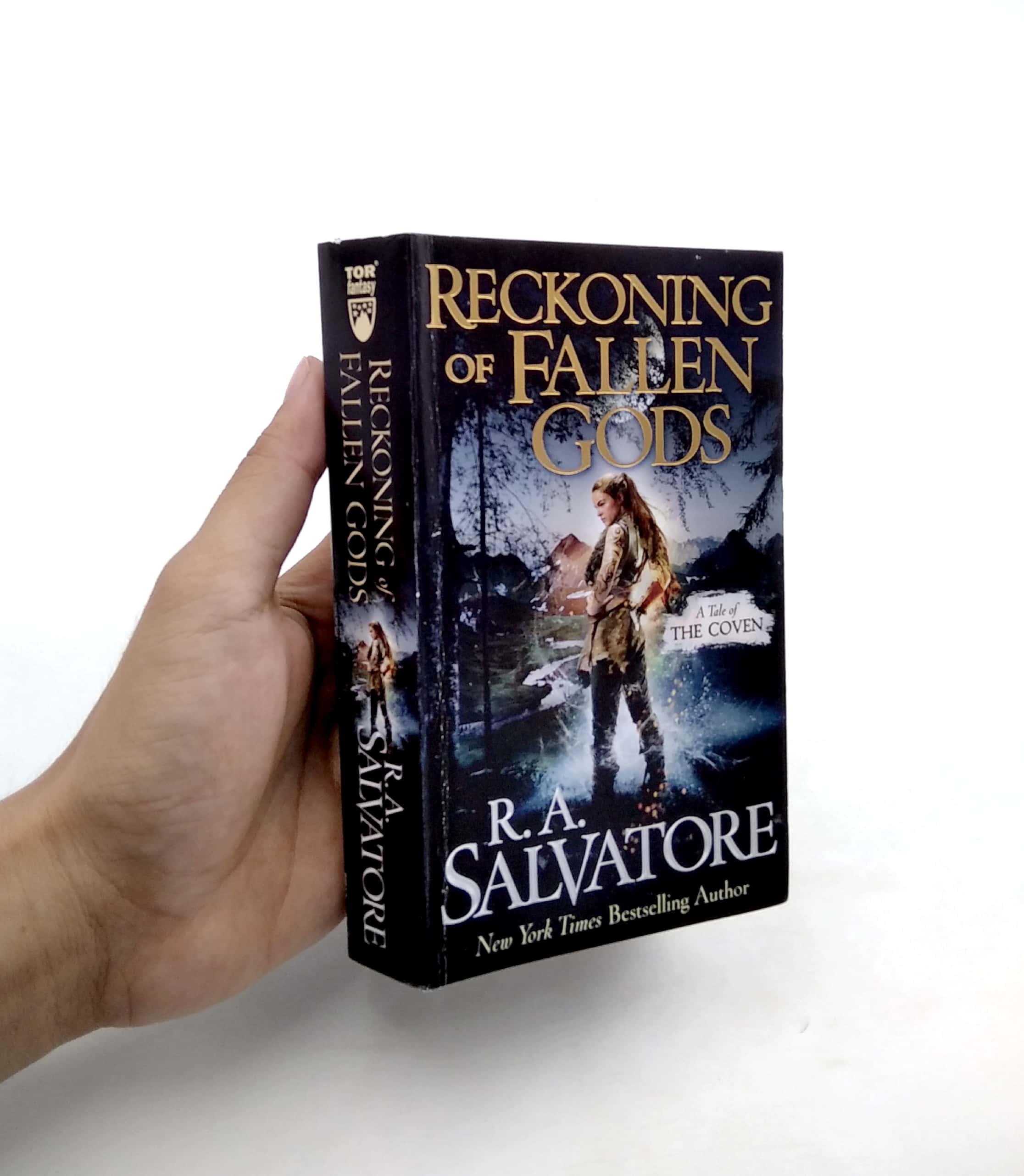 reckoning of fallen gods - Ảnh 12