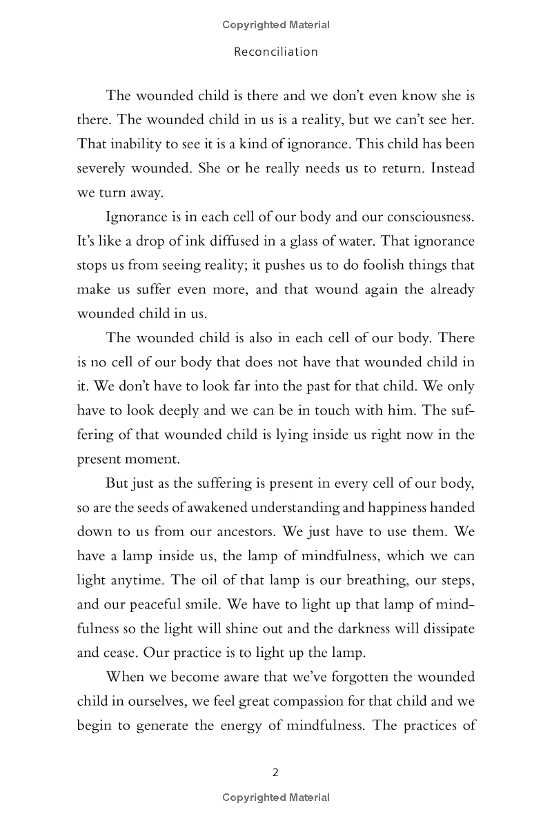 reconciliation : healing the inner child - Ảnh 11