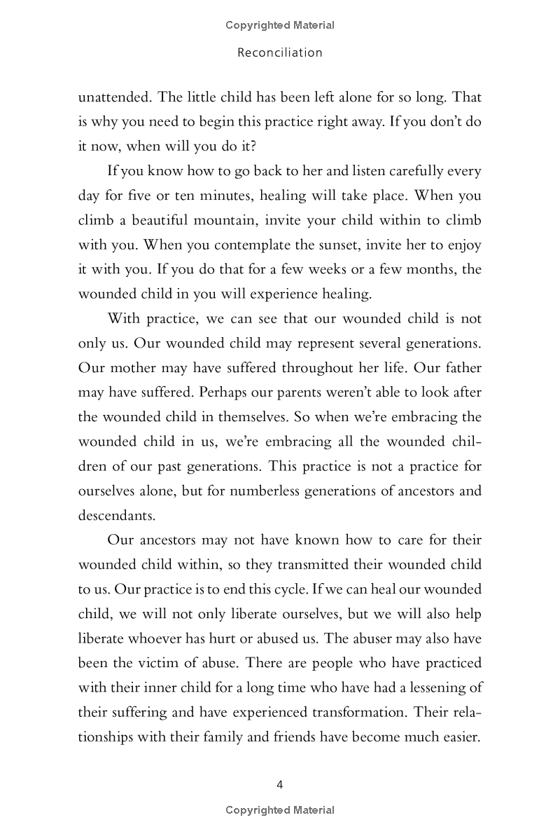 reconciliation : healing the inner child - Ảnh 13