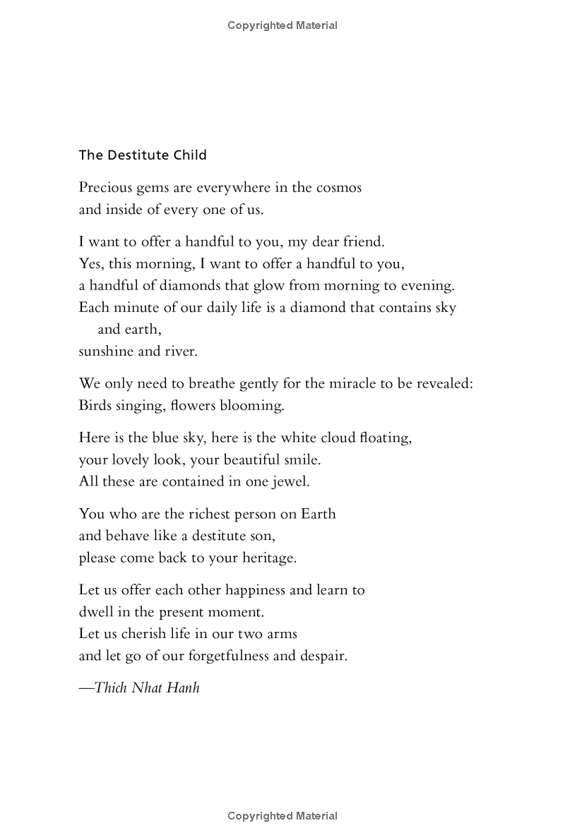 reconciliation : healing the inner child - Ảnh 8