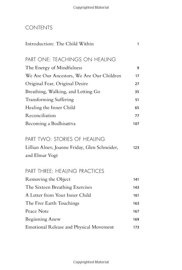 reconciliation : healing the inner child - Ảnh 9